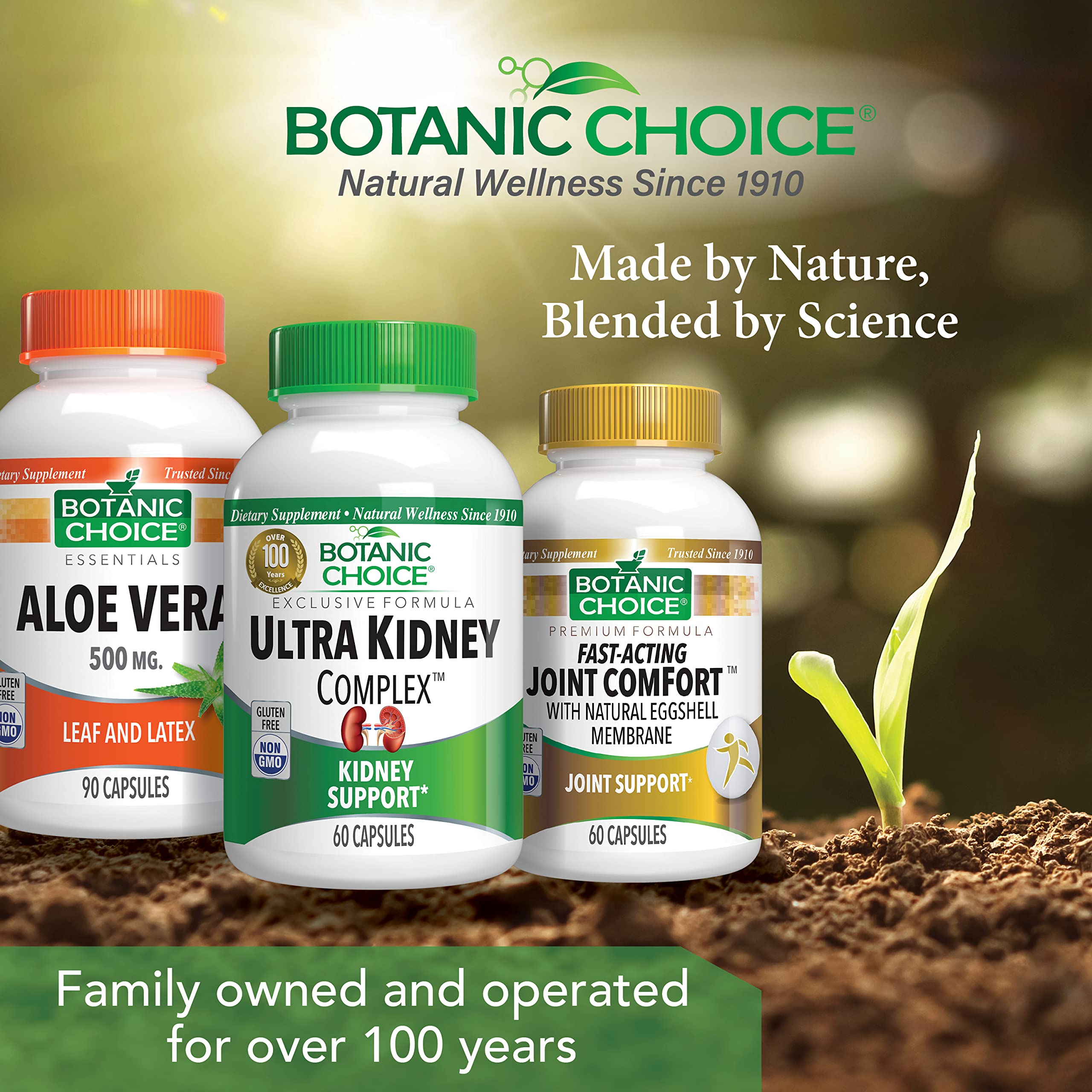 Botanic Choice Ultra Kidney Complex - Optimal Kidney Support with Milk Thistle, Green Tea & More- 60 Capsules Botanic Choice buy supplements canada