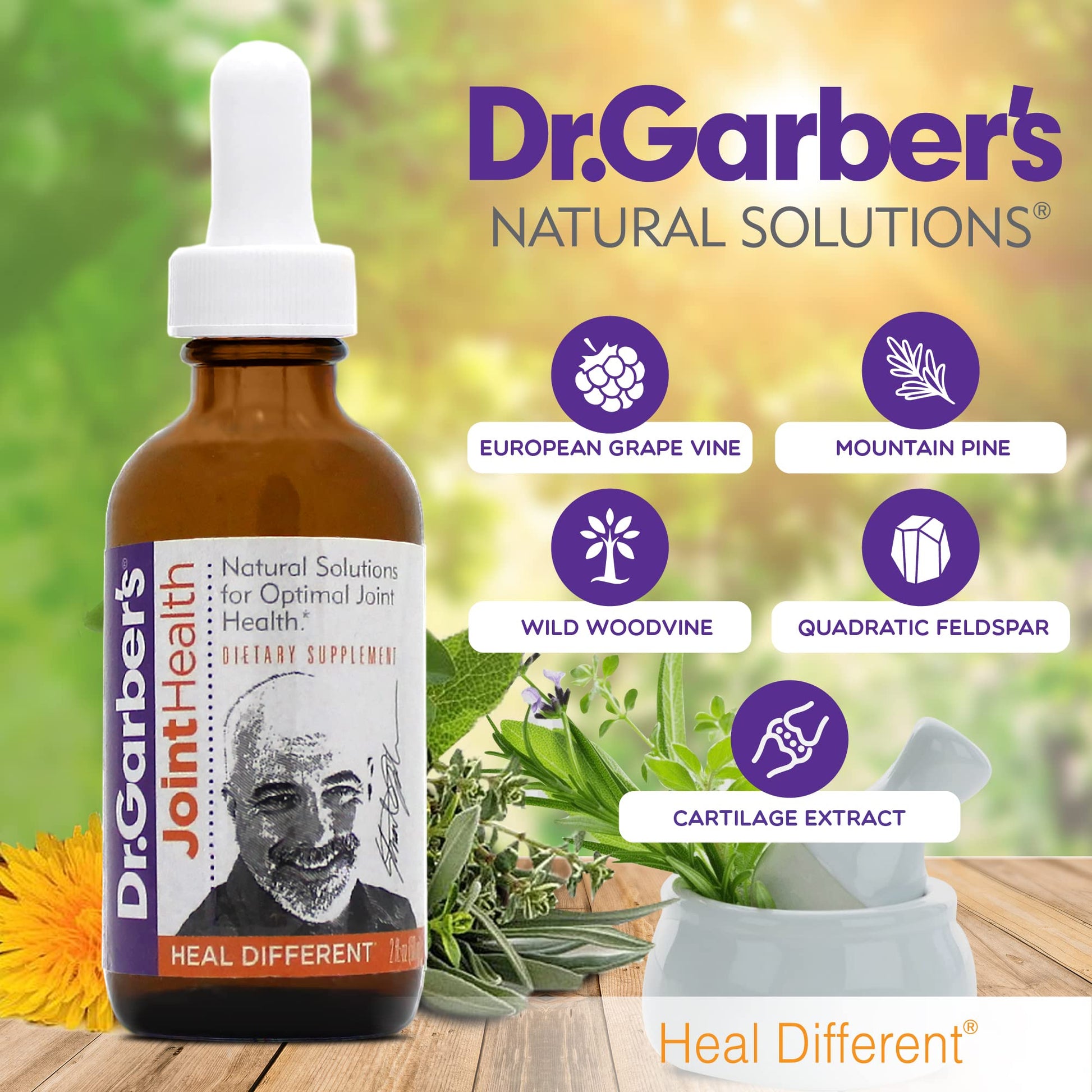 Dr. Garber's Natural Solutions Joint Health Oral Drops - Gemmotherapy Liquid Supplement for Healthy Joint Support & Function, Joint Repair, and Improved Mobility & Flexibility - 60ml DR.GARBER'S buy supplements canada