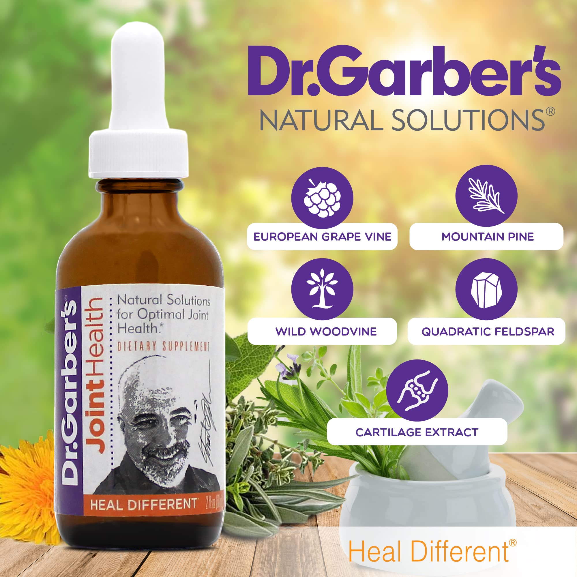 Dr. Garber's Natural Solutions Joint Health Oral Drops - Gemmotherapy Liquid Supplement for Healthy Joint Support & Function, Joint Repair, and Improved Mobility & Flexibility - 60ml DR.GARBER'S buy supplements canada