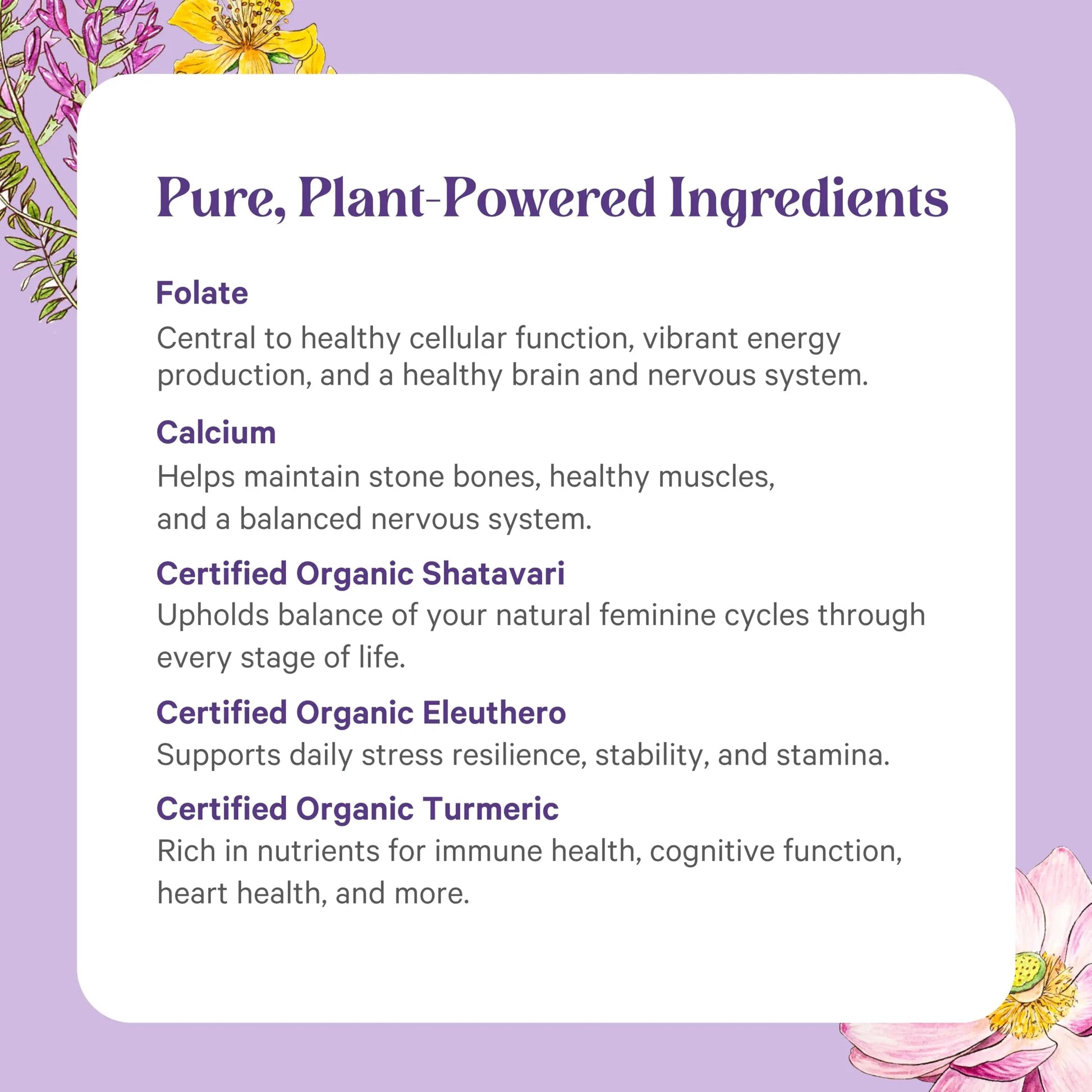 PURE SYNERGY Vita·Min·Herb for Women | Women’s Comprehensive Multivitamin Supplement | Made with Organic Whole Food Non-GMO & Vegan Ingredients | PURE SYNERGY buy supplements canada