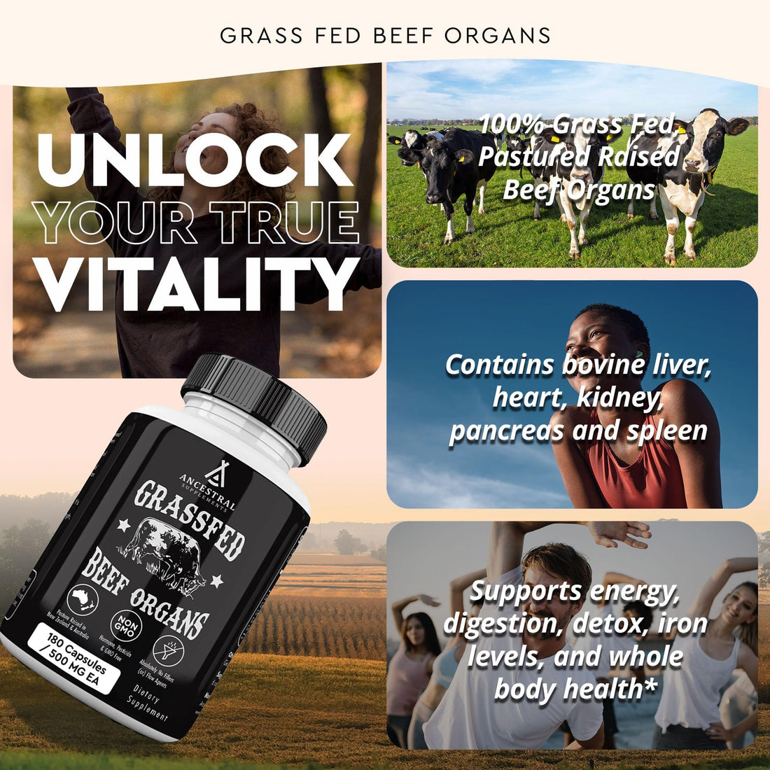 Ancestral Supplements Grass Fed Beef Organ Supplement, Supports Whole Body Wellness with Proprietary Blend of Liver, Heart, Kidney, Pancreas, Spleen, Freeze-Dried Beef, Non-GMO, 180 Capsules Ancestral Supplements buy supplements canada