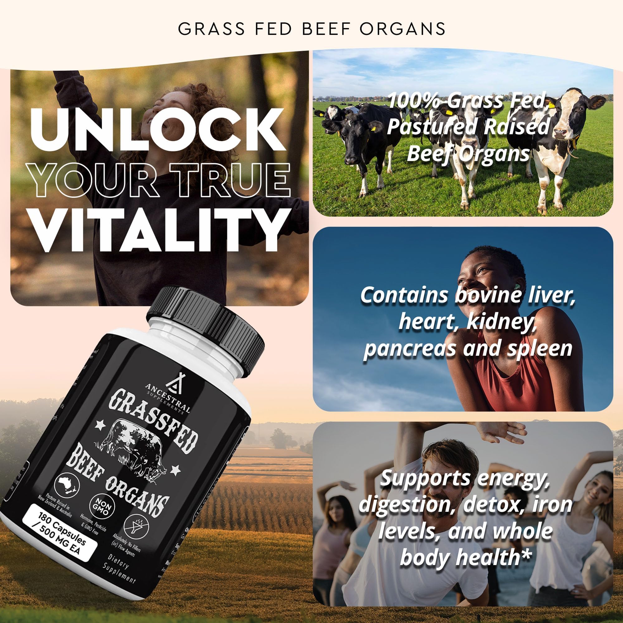 Ancestral Supplements Grass Fed Beef Organ Supplement, Supports Whole Body Wellness with Proprietary Blend of Liver, Heart, Kidney, Pancreas, Spleen, Freeze-Dried Beef, Non-GMO, 180 Capsules Ancestral Supplements buy supplements canada