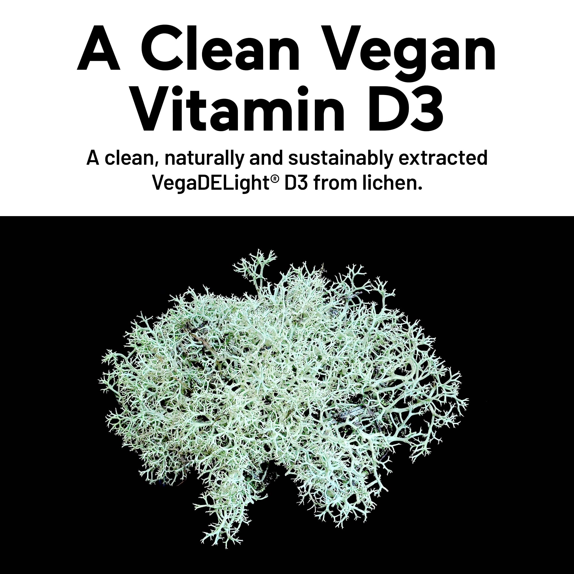 SMARTERNUTRITION Vegan Vitamin D3 5000 IU + Natural Vitamin K2 1100 mcg in Organic Coconut & Olive Oil - D3 K2 Supplement for Immune & Bone Support SMARTERNUTRITION buy supplements canada