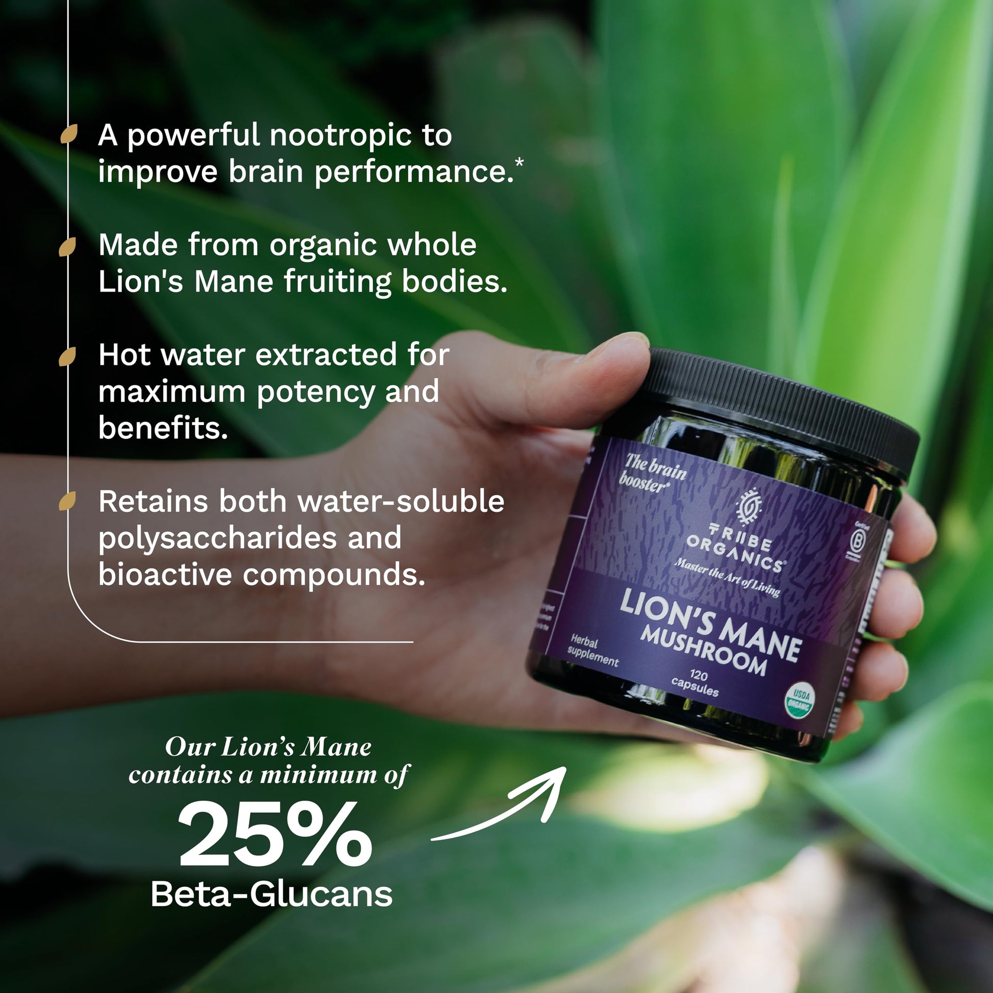TRIBE ORGANICS Lion’s Mane Supplement 1000mg Mushroom Extract Powder - Immune System Booster & Brain Nootropic for Focus and Memory | Mental Clarity | Natural Energy and Immunity - 120 Vegan Capsules TRIBE ORGANICS buy supplements canada