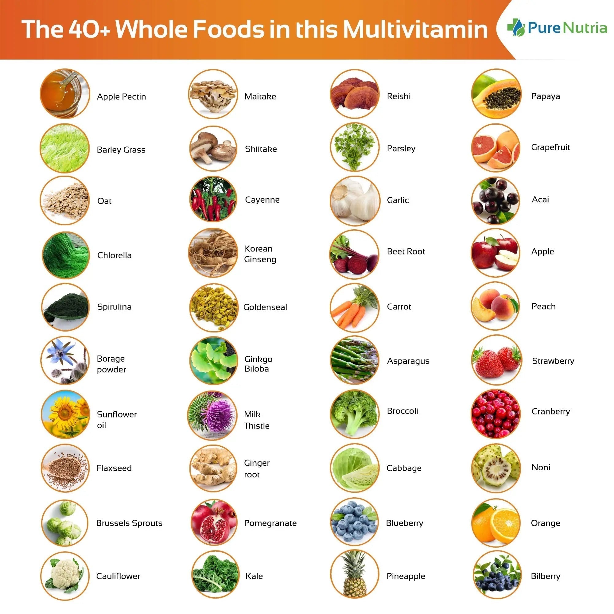 Whole Food MultiVitamin and Minerals with Probiotic Enzymes - 120 Multivitamins for Women and Men - Packed with WholeFood and Herbal Ingredients PureNutria buy supplements canada
