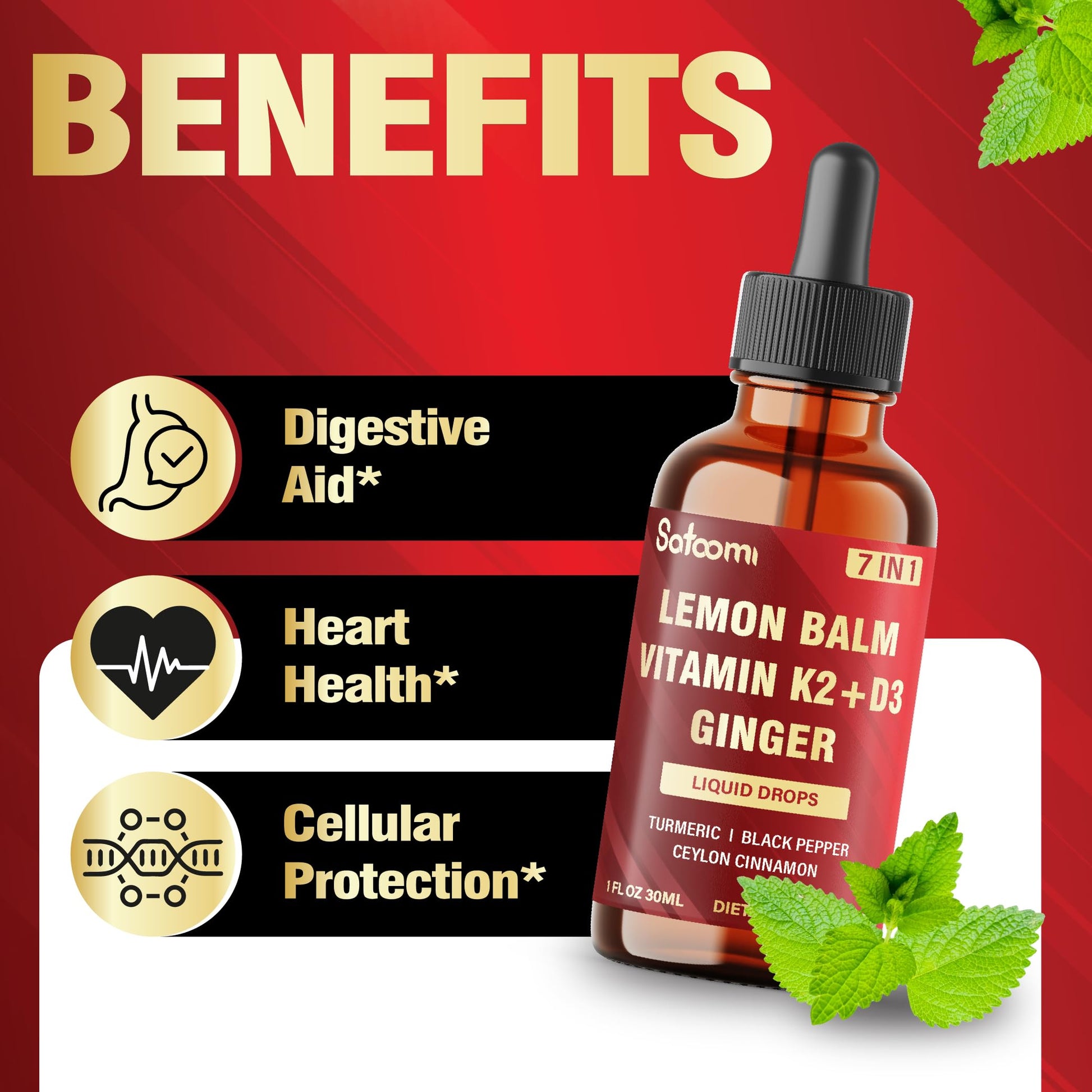 Satoomi 7in1 Lemon Balm Tincture with Vitamin D3, Vitamin K2, Ginger Root, Turmeric, Ceylon Cinnamon and Black Pepper - 1 FL Oz - 60 Day Supply Satoomi buy supplements canada