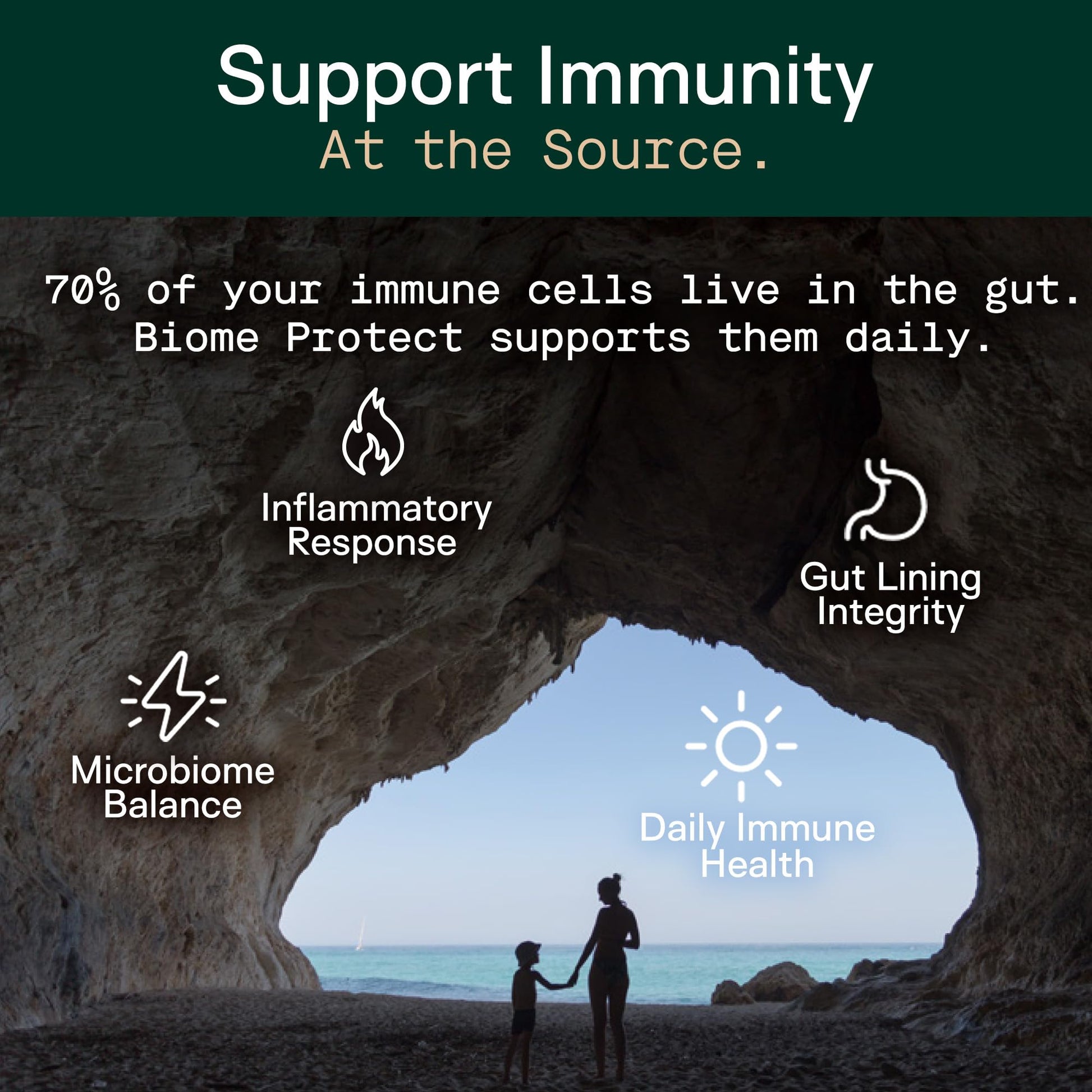 Adapt Naturals 4-in-1 Biome Protect Prebiotics, Probiotics Supplement Postbiotics & Polyphenols for Microbiome, Gut Health & Defense ADAPT NATURALS BY CHRIS KRESSER buy supplements canada