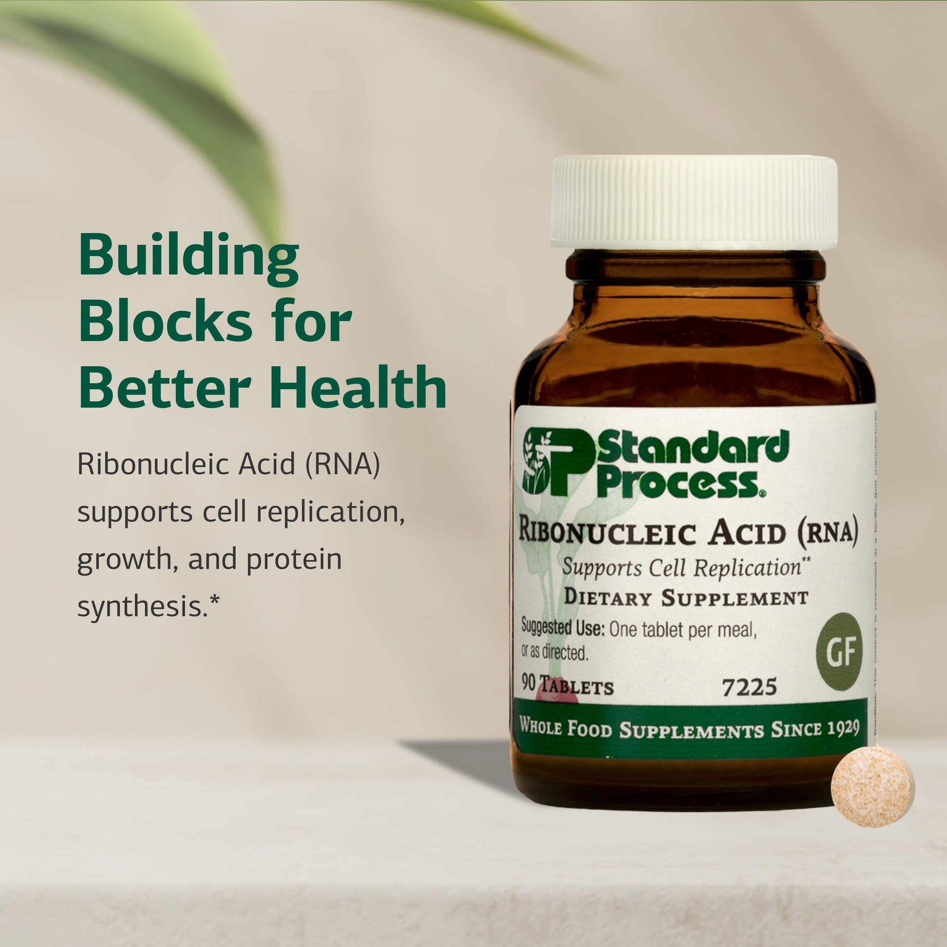 Standard Process Ribonucleic Acid RNA - Cell Development Support - Aids Protein Synthesis - Vegan, Gluten-Free, Non-Soy, & Non-Grain - 90 Tablets (90 Servings) Standard Process Inc. buy supplements canada