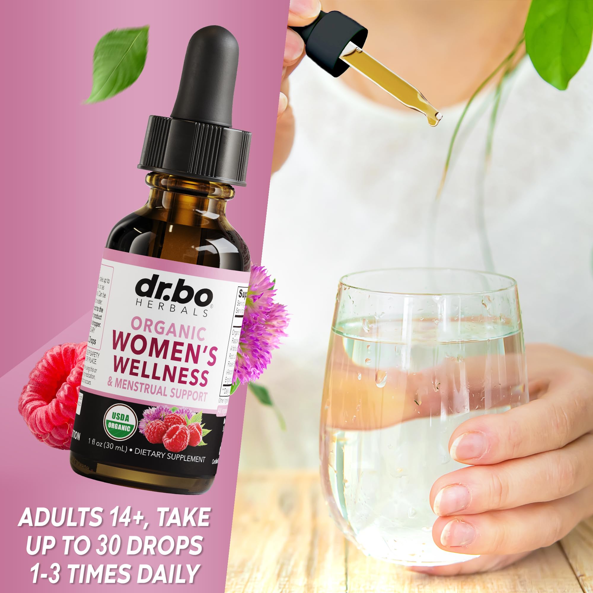 Hormone Balance for Women & PMS Relief - Women's Wellness Organic Hormonal Balance Supplements Liquid Drops & Menstrual Cramp Period Support - Raspberry Leaf, Chasteberry, Black Cohosh Supplement 1 Oz DR. BO buy supplements canada