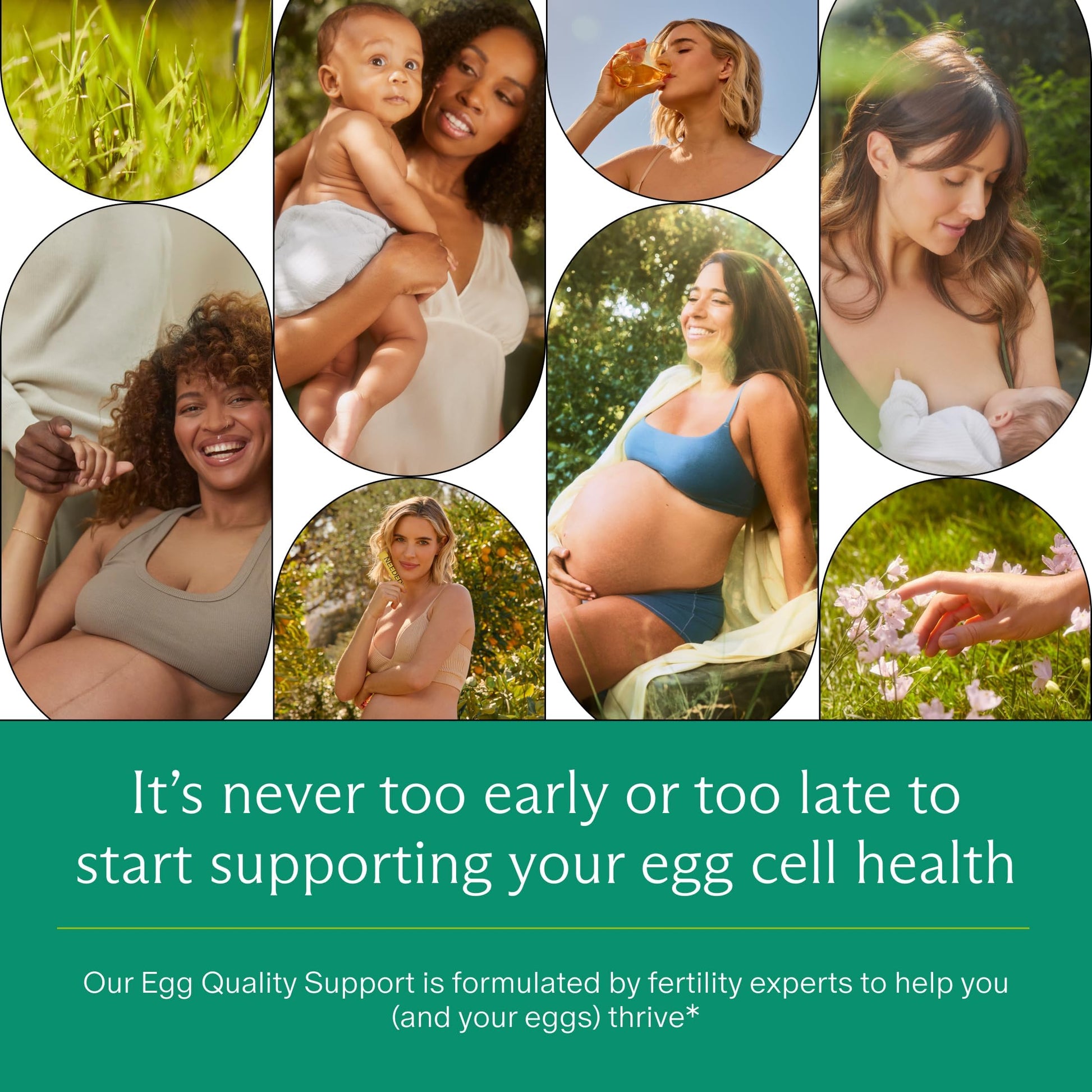 Needed. Egg Quality Support - Optimally Formulated Antioxidants Supplement for Egg Quality - Fertility Support - Fertility Supplement for Women Needed. buy supplements canada