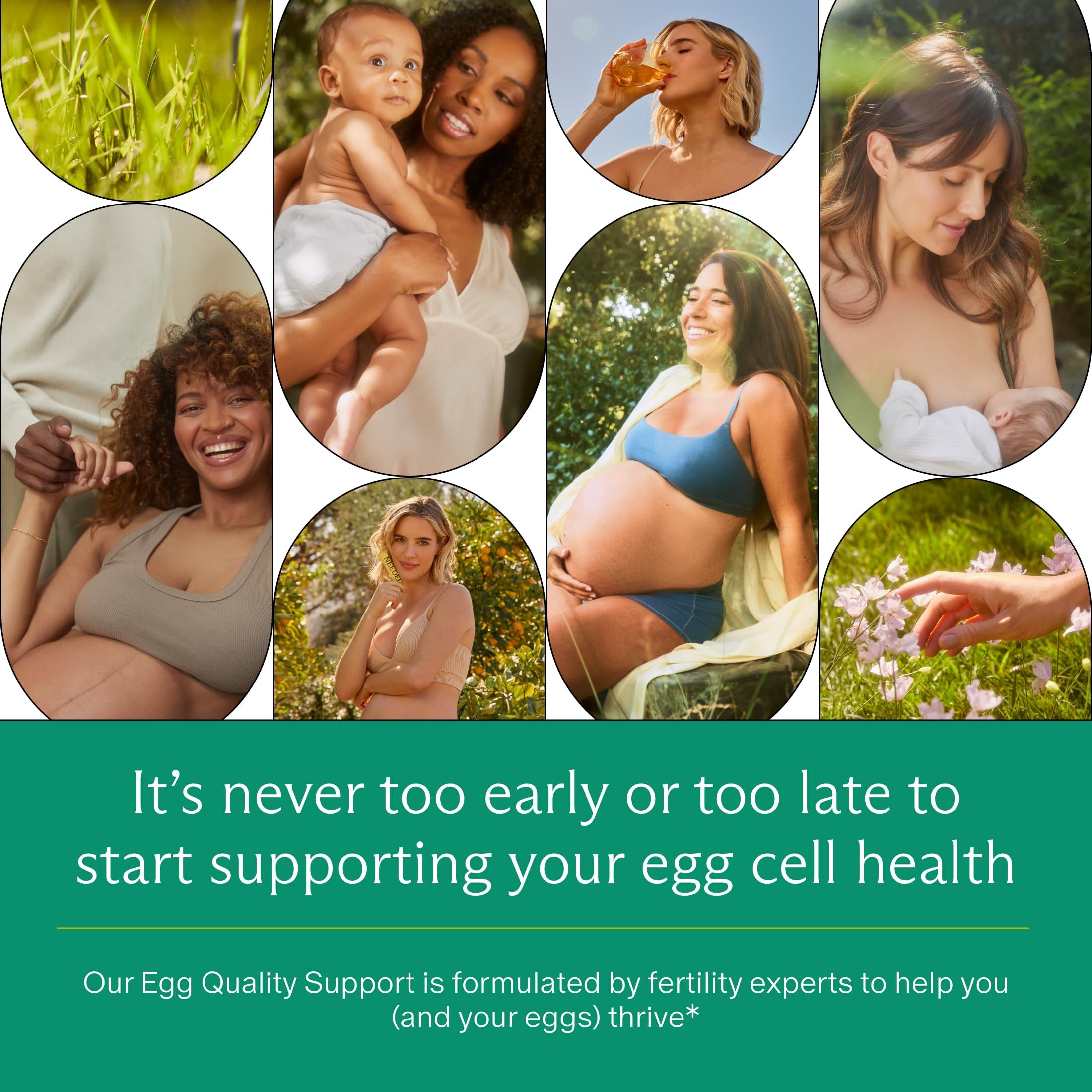 Needed. Egg Quality Support - Optimally Formulated Antioxidants Supplement for Egg Quality - Fertility Support - Fertility Supplement for Women Needed. buy supplements canada
