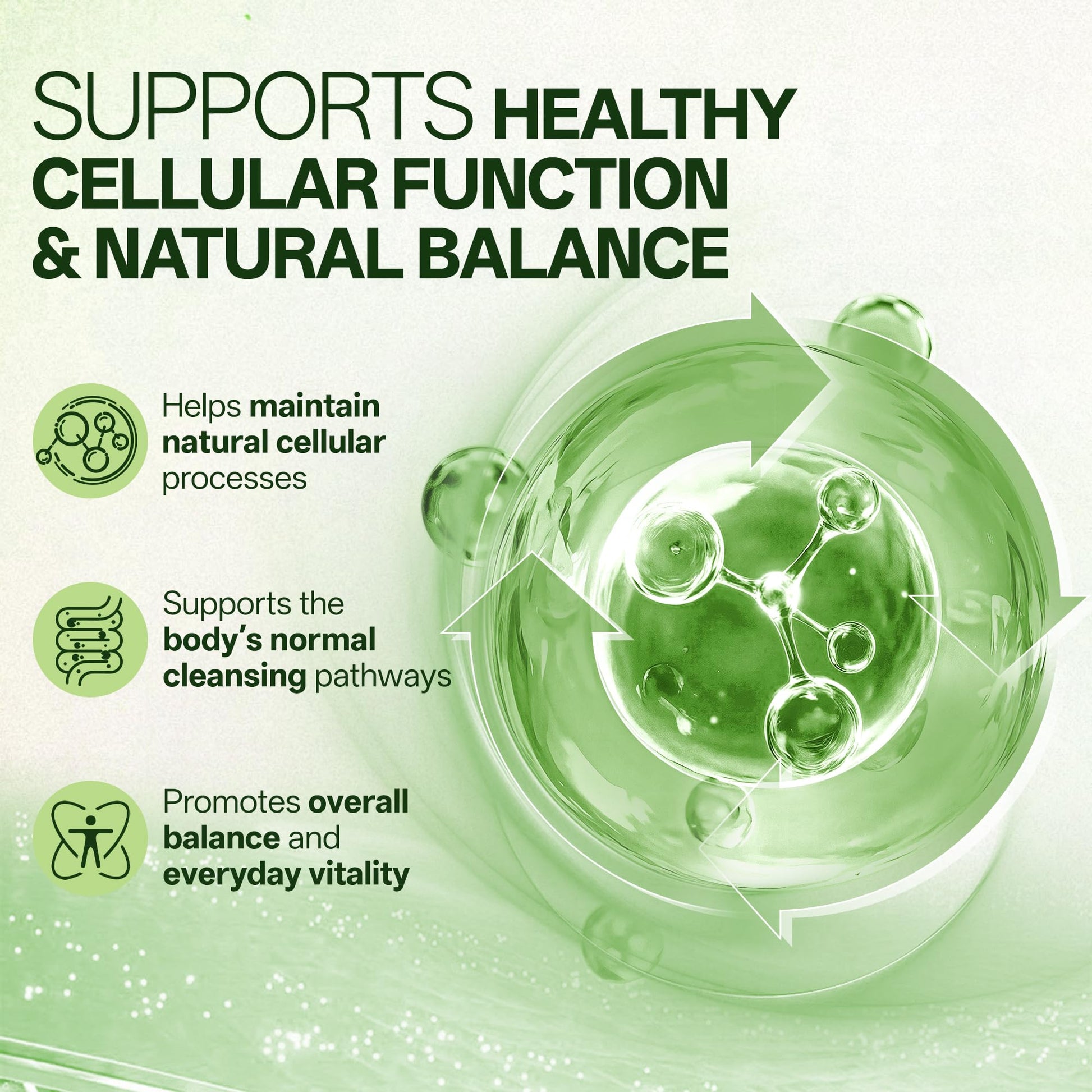 Liposomal Sulforaphane 500mg Supplement from Broccoli Extract with Quercetin, Black Pepper & Vitamin C – Antioxidant, Detox & Cellular Support, Cellular Health Formula for Men & Women, 60 Capsules inGreens buy supplements canada