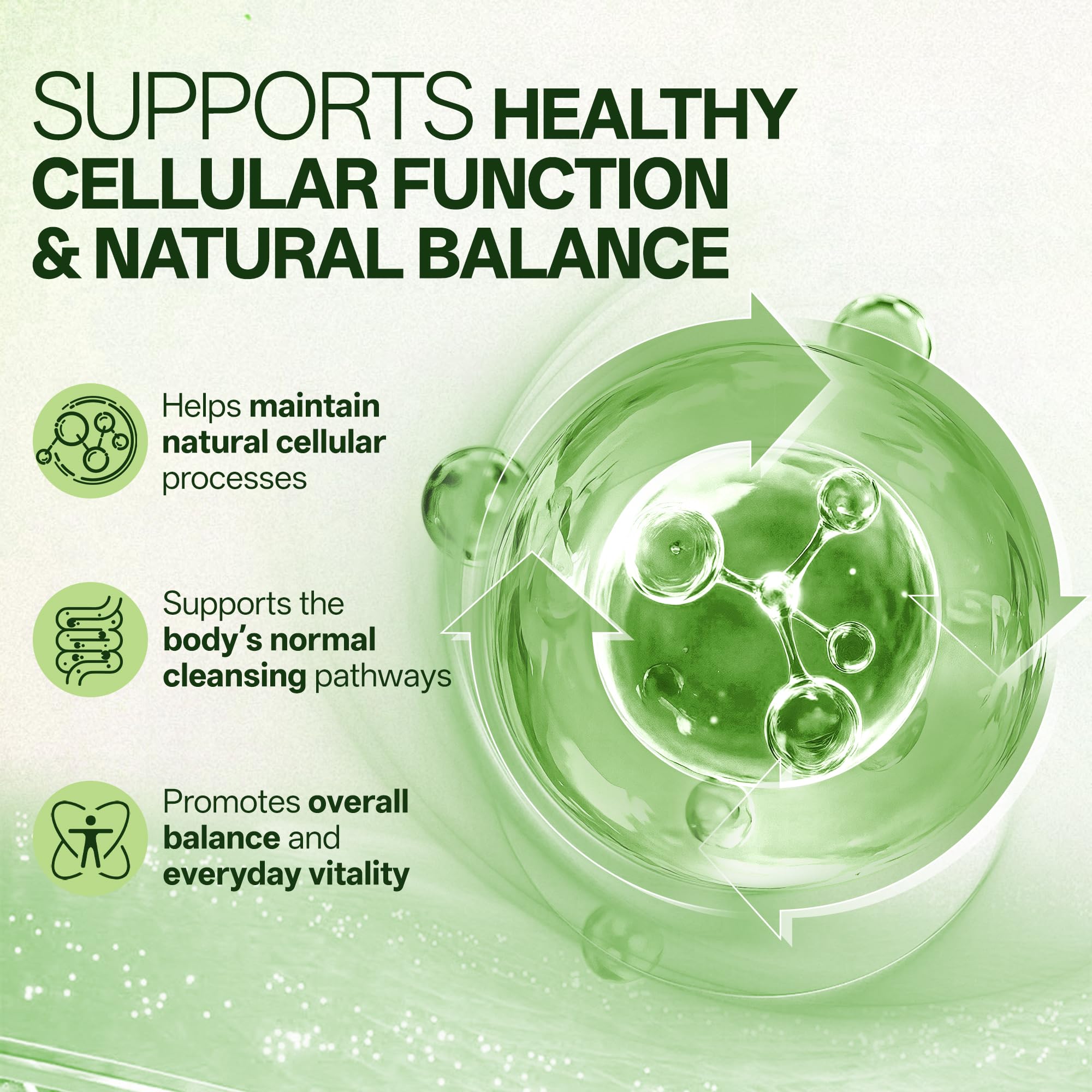 Liposomal Sulforaphane 500mg Supplement from Broccoli Extract with Quercetin, Black Pepper & Vitamin C – Antioxidant, Detox & Cellular Support, Cellular Health Formula for Men & Women, 60 Capsules inGreens buy supplements canada