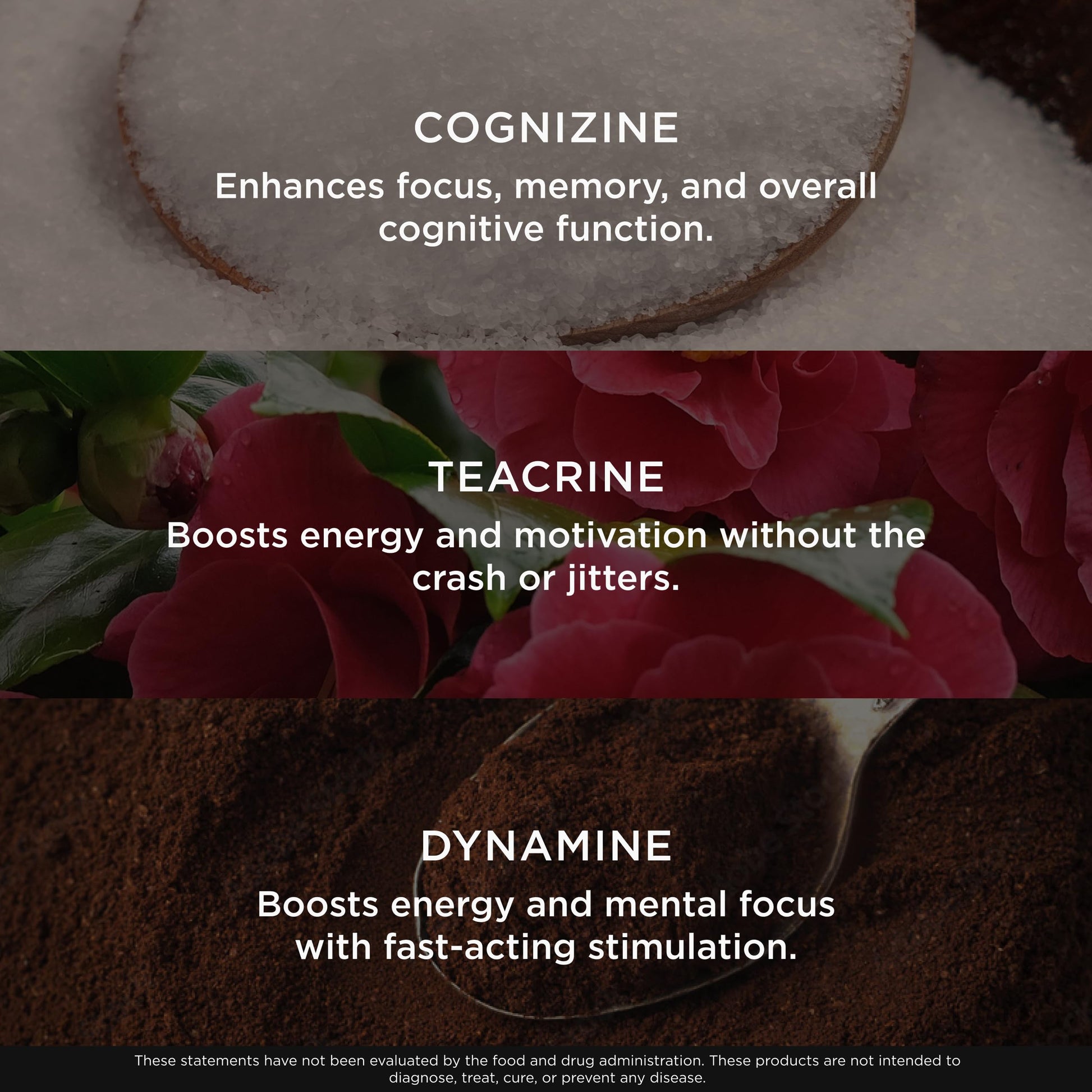 Genius Gamer, Gaming Focus Supplement, 80 Pills - Elite Nootropic Performance Booster - Boost Brain & Mental Clarity, Reaction Time & Concentration - Blue Light Support with Lutemax The Genius Brand buy supplements canada
