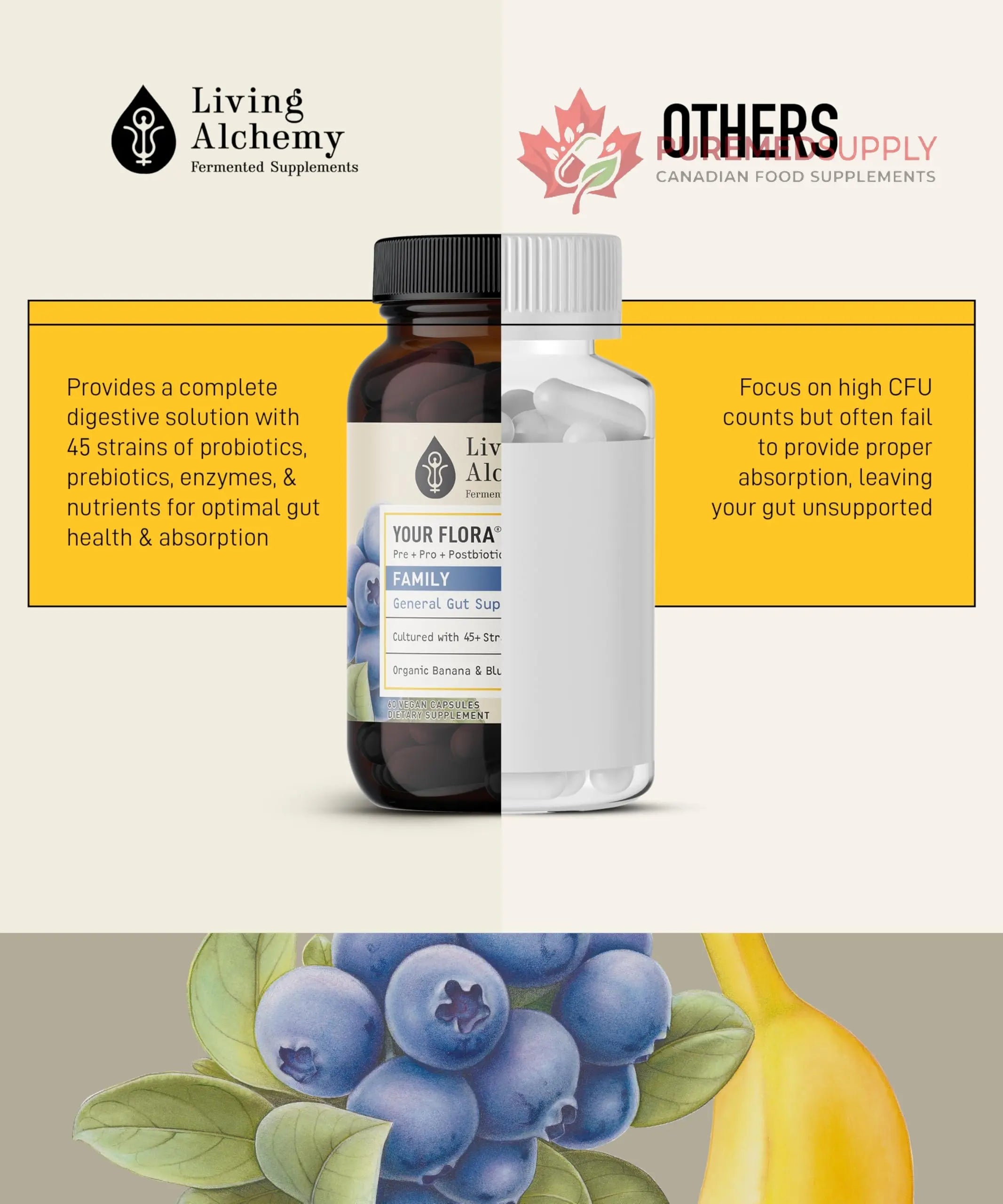 Your Flora Probiotic Family – Non-GMO Probiotics with Fermented Soybean, Banana, & Blueberry for Digestion & Gut Support – Prebiotics, Postbiotics, Digestive Enzymes – Living Alchemy, 60 Capsules Living Alchemy buy supplements canada