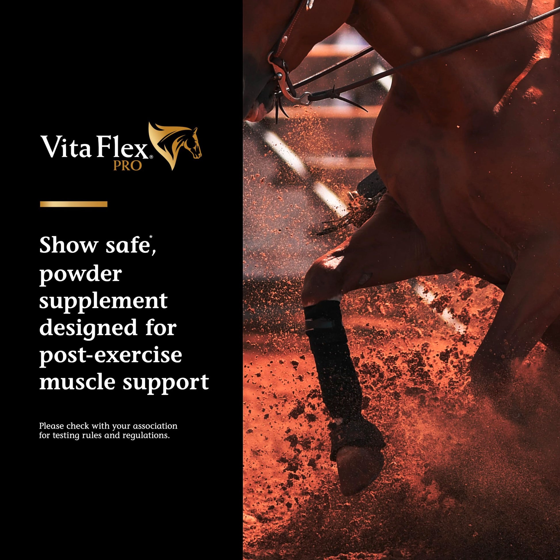 Vita Flex Pro Recovery by the Makers of Lactanase, Post Performance Horse Supplements 40 g, Show Safe Muscle Recovery Supplements, Amino Acids for Horses, Strength & Joint Health Vita Flex buy supplements canada
