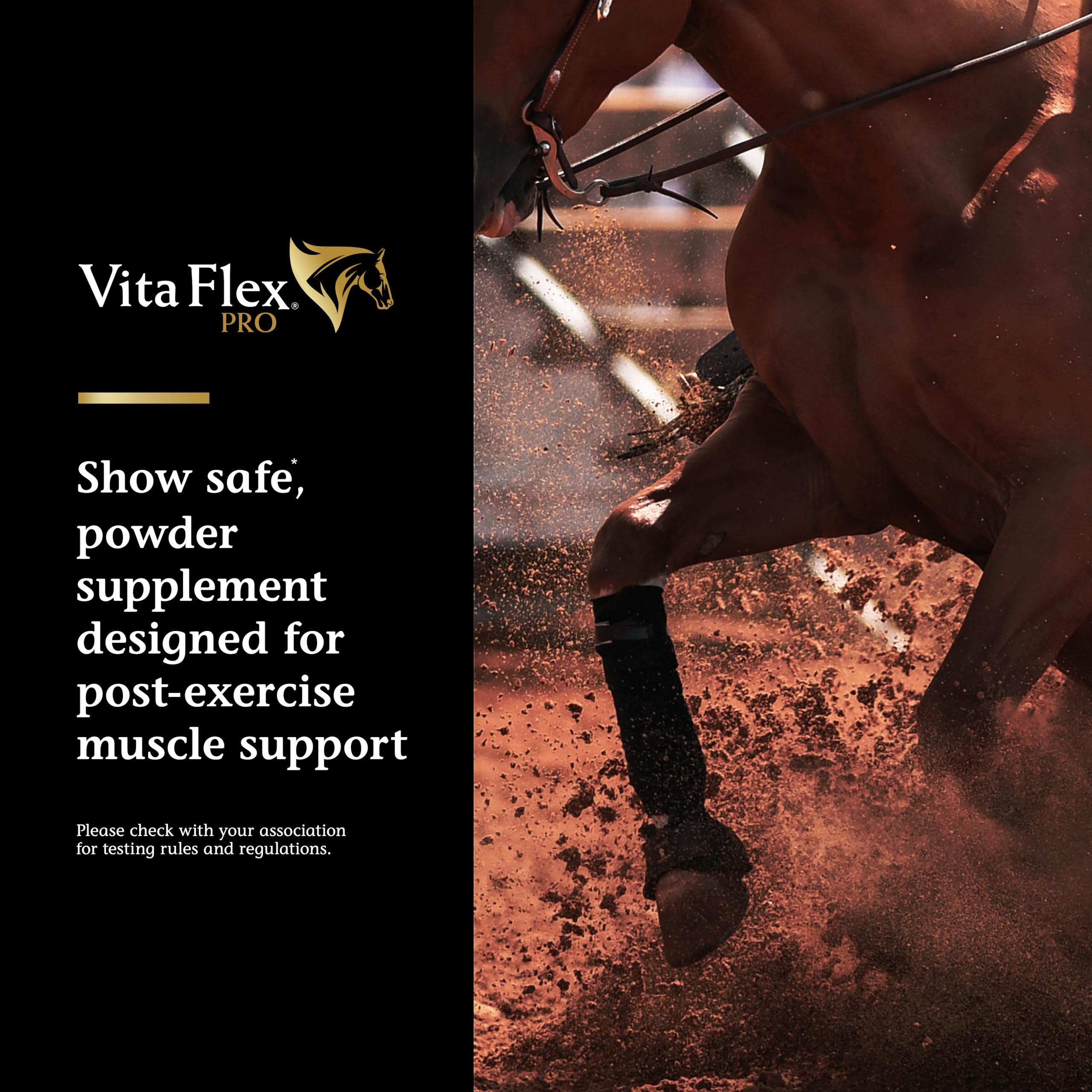 Vita Flex Pro Recovery by the Makers of Lactanase, Post Performance Horse Supplements 40 g, Show Safe Muscle Recovery Supplements, Amino Acids for Horses, Strength & Joint Health Vita Flex buy supplements canada