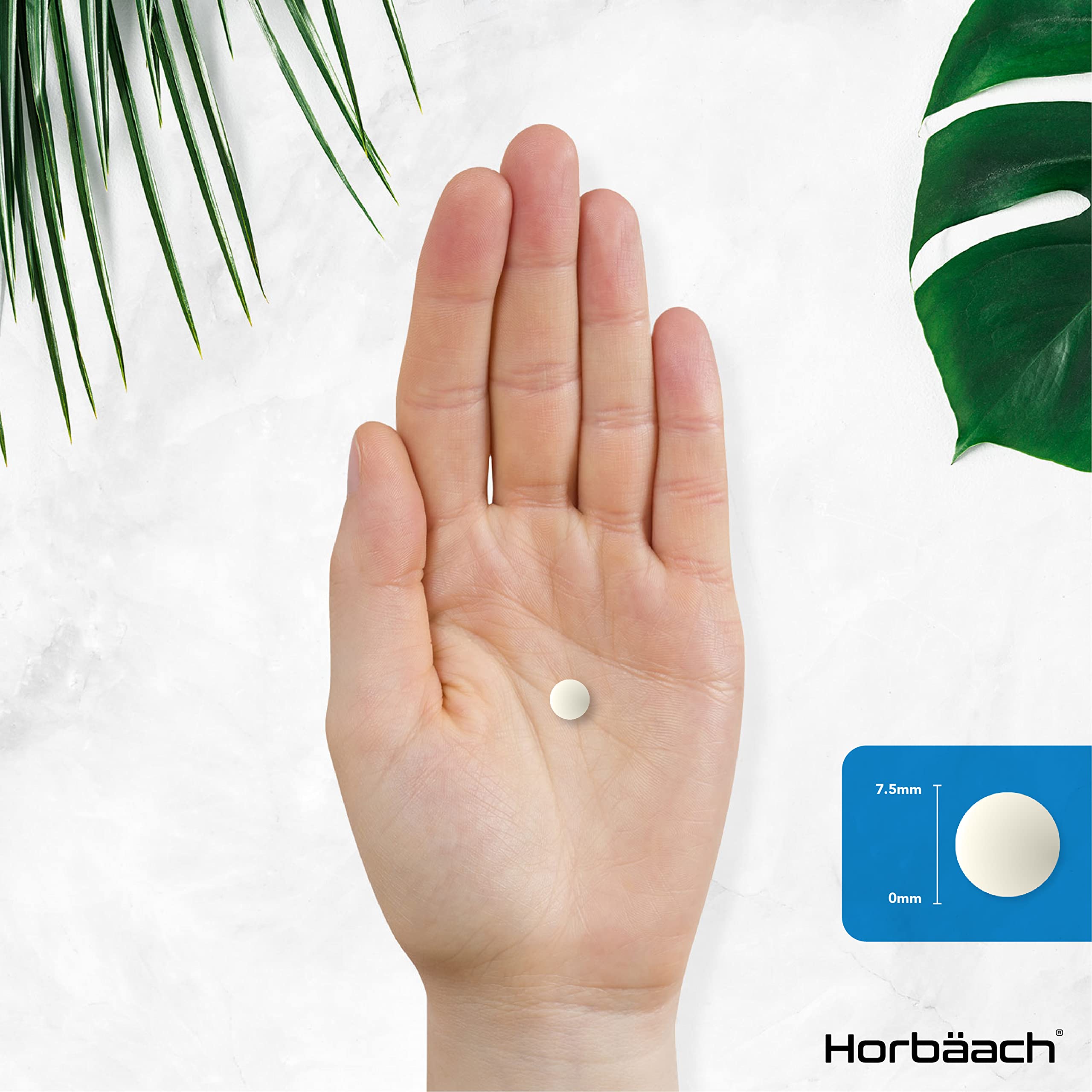 Vitamin K2 MK7 200ug | 365 Vegan Tablets | High Strength Menaquinone MK-7 Horbäach buy supplements canada