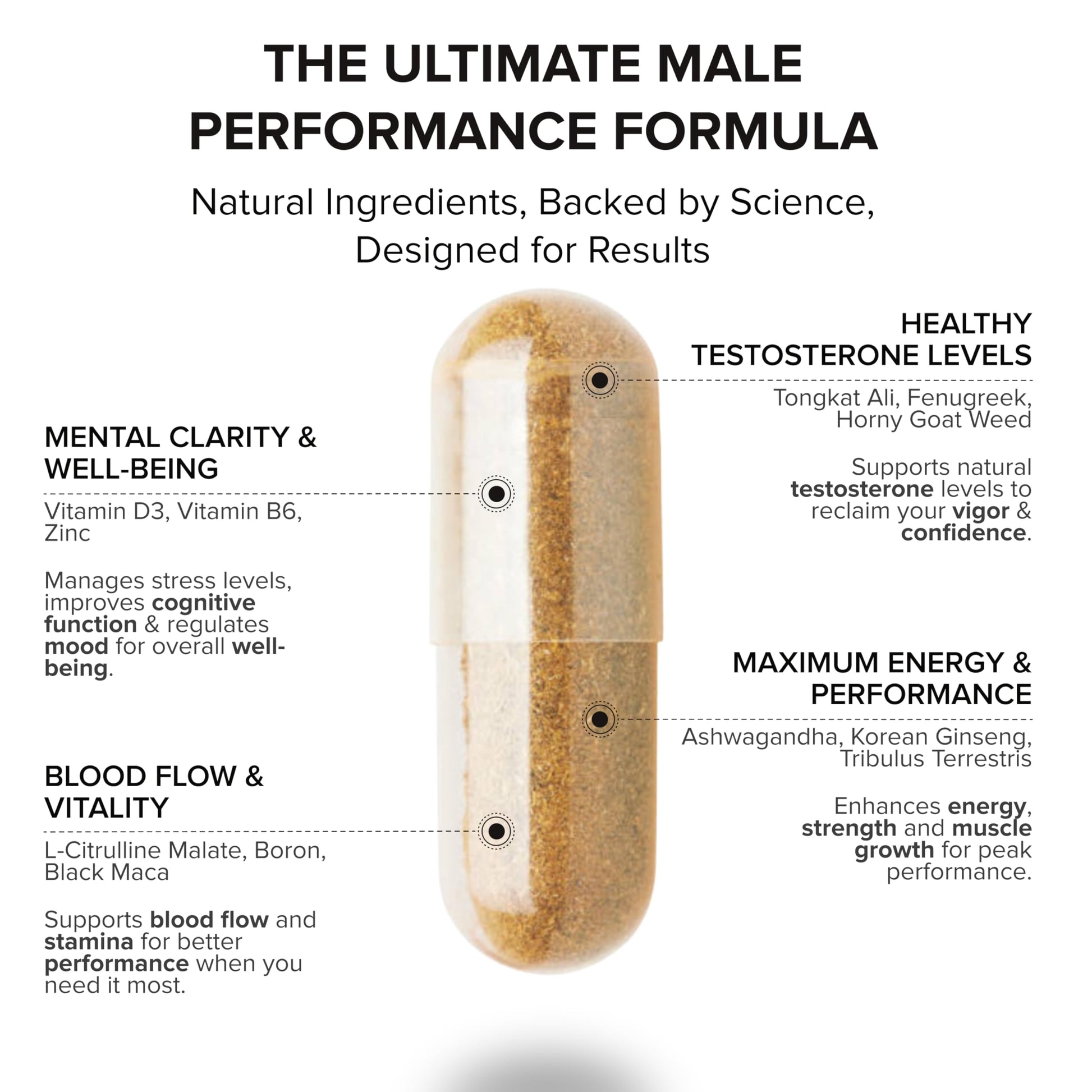 STRIVLABS Peak Potential 12-in-1  Support for Men – Fenugreek, Ashwagandha & Tongkat Ali – Natural Strength STRIVLABS buy supplements canada