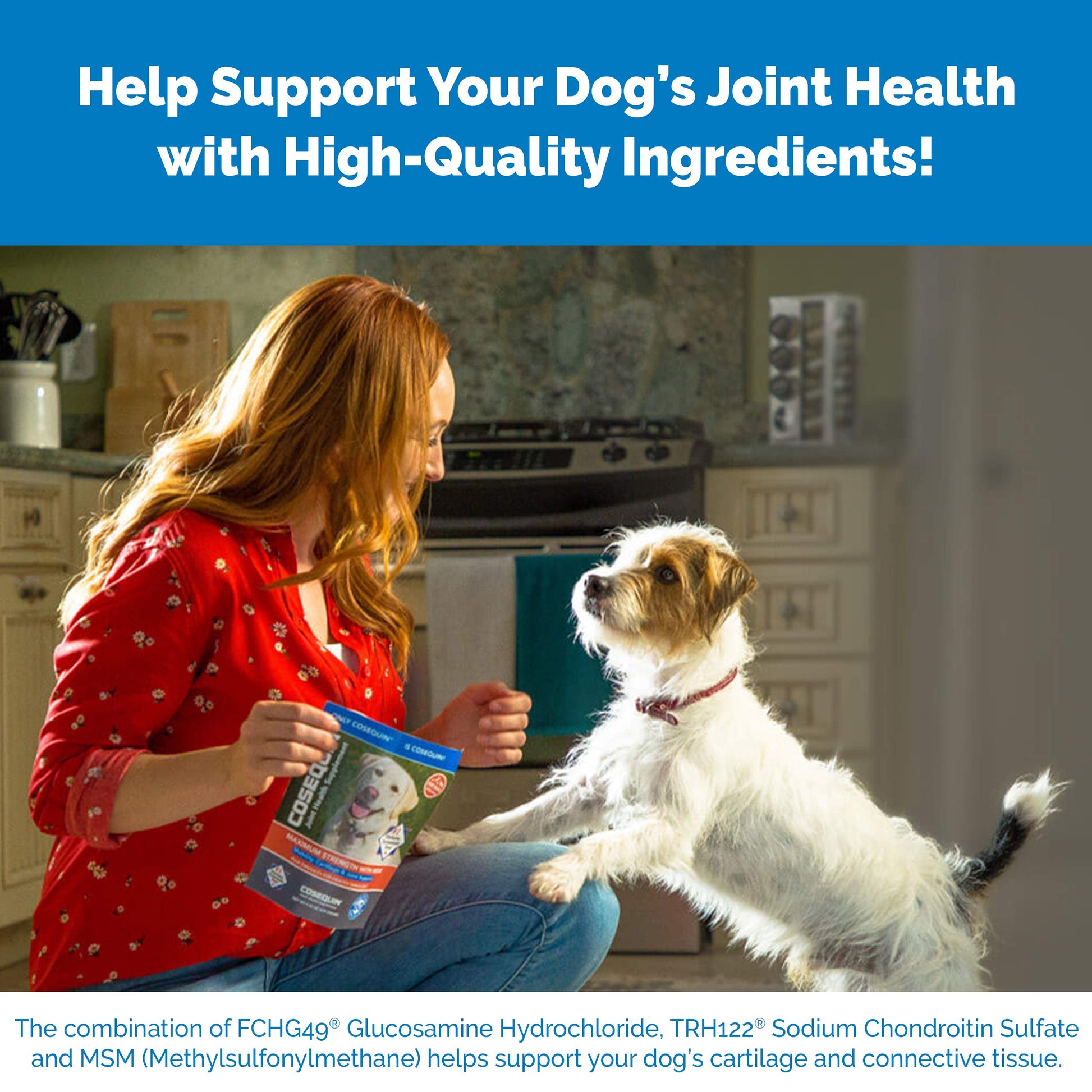 Nutramax Laboratories Cosequin Maximum Strength Joint Health Supplement for Dogs Nutramax Laboratories buy supplements canada