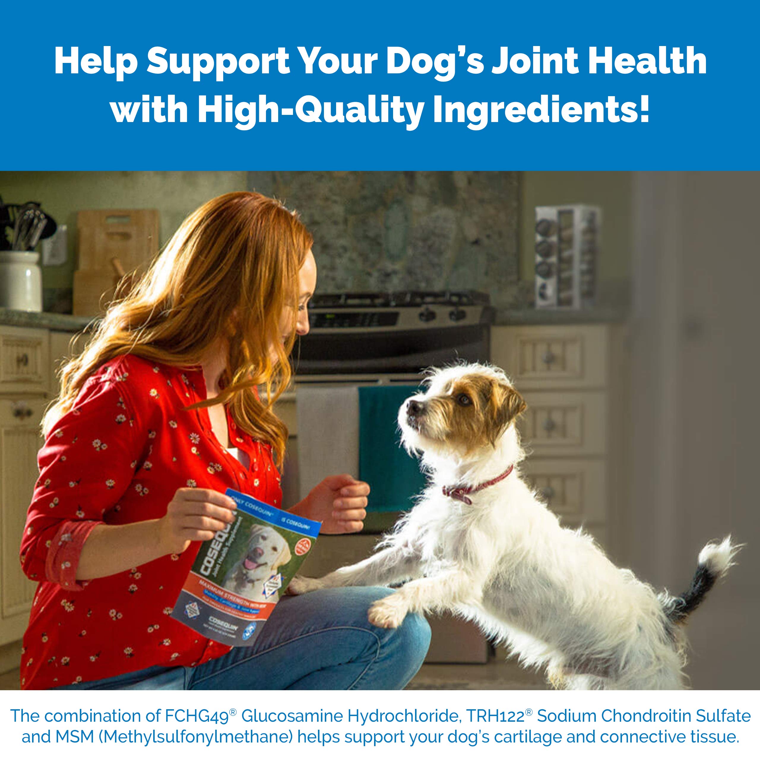 Nutramax Laboratories Cosequin Maximum Strength Joint Health Supplement for Dogs Nutramax Laboratories buy supplements canada