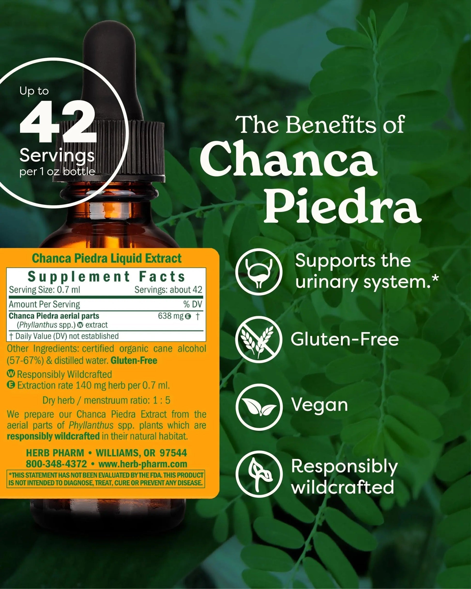 Herb Pharm Chanca Piedra Liquid Extract for Urinary System Support, 1 Fl Oz Herb Pharm buy supplements canada