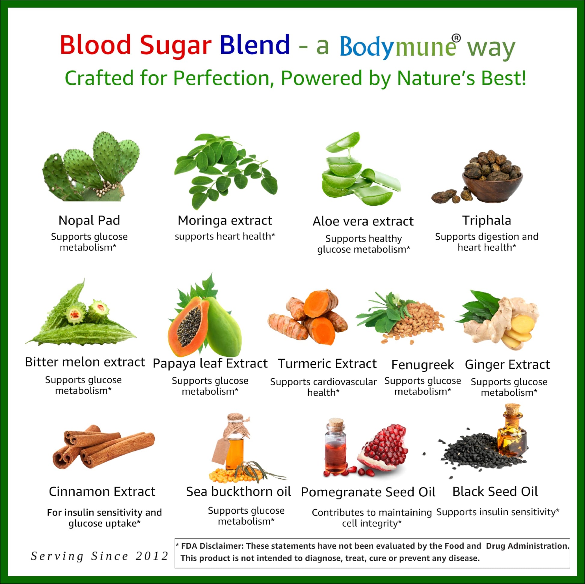 Bodymune USDA Organic Blood Sugar Blend | Supports Healthy Metabolism* | with Bitter Melon, Moringa, Aloe Vera, Nopal, Papaya Extracts & More | 60-Day Supply | Vegan & Non-GMO | USA-Made Bodymune buy supplements canada