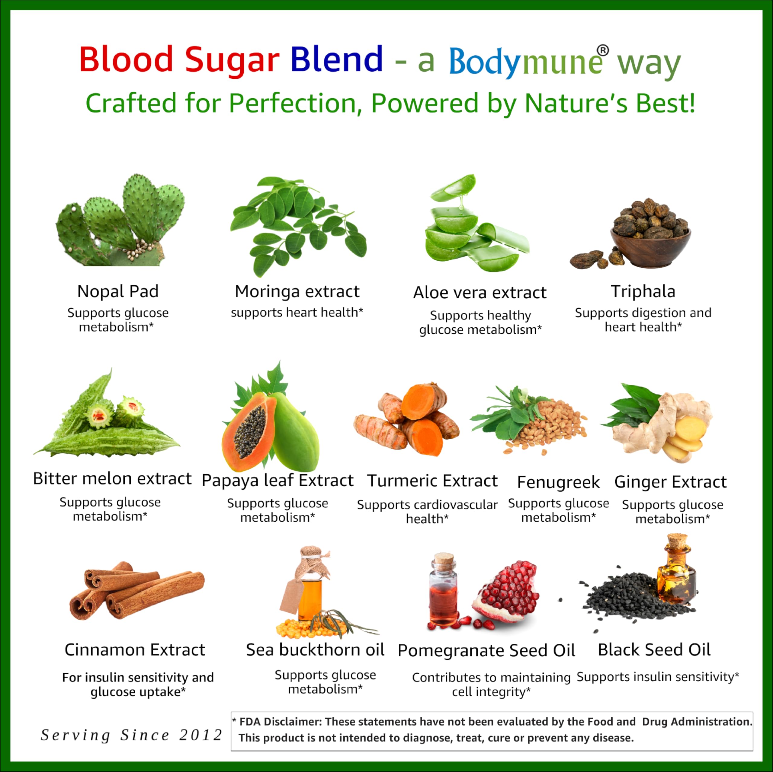 Bodymune USDA Organic Blood Sugar Blend | Supports Healthy Metabolism* | with Bitter Melon, Moringa, Aloe Vera, Nopal, Papaya Extracts & More | 60-Day Supply | Vegan & Non-GMO | USA-Made Bodymune buy supplements canada