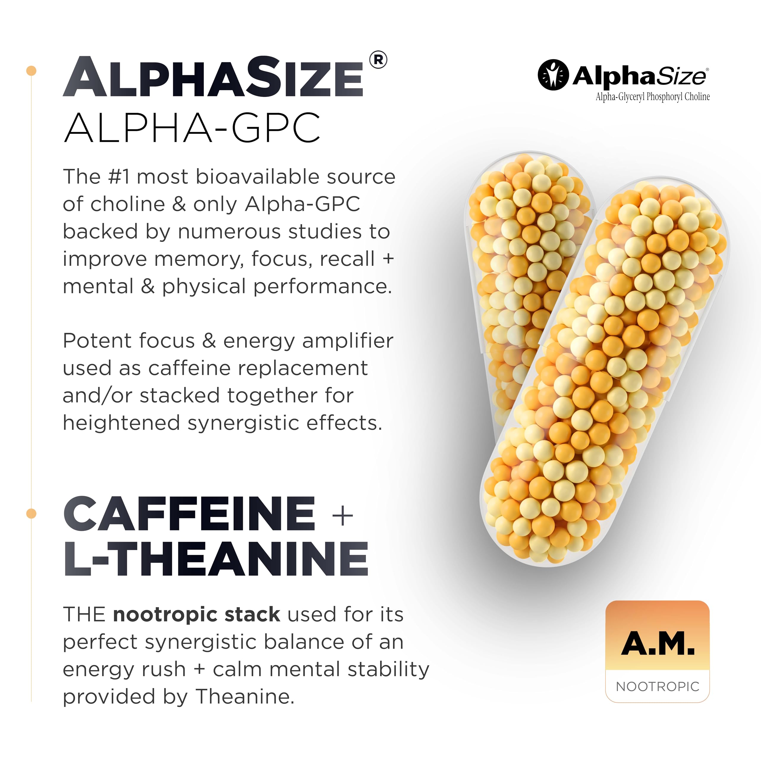 AMPM Nootropic Total Focus + Calm 9X Strength w. Caffeine, L-Theanine, Alpha GPC, L-Tyrosine, Ashwagandha - X-Release Energy Pills Nootropics Brain Support Supplements for Memory and Focus Supplement TERRA ELMNT buy supplements canada
