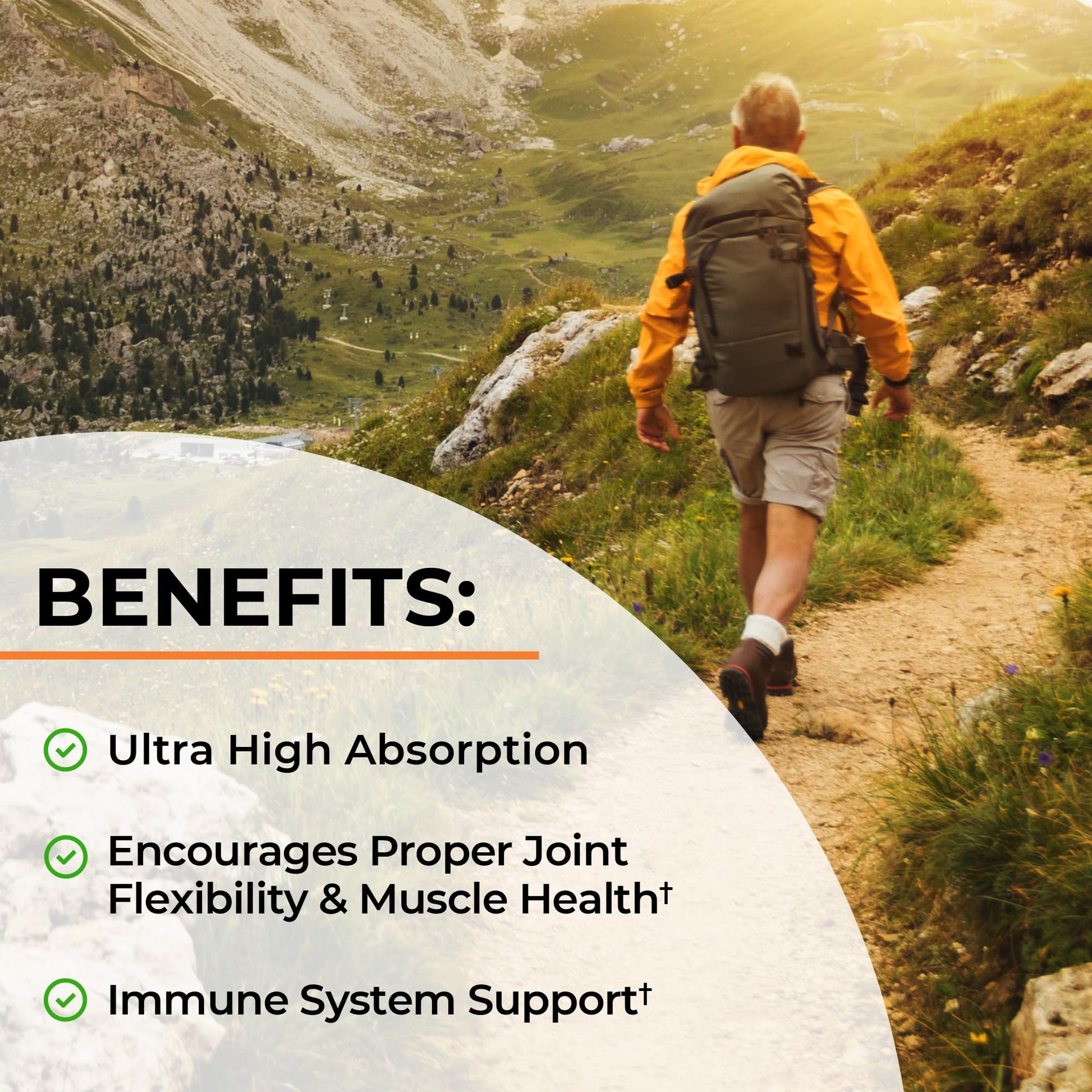Turmeric Curcumin with Black Pepper Extract 1500mg - High Absorption Ultra Potent Turmeric Supplement with 95% Curcuminoids and BioPerine BioSchwartz buy supplements canada