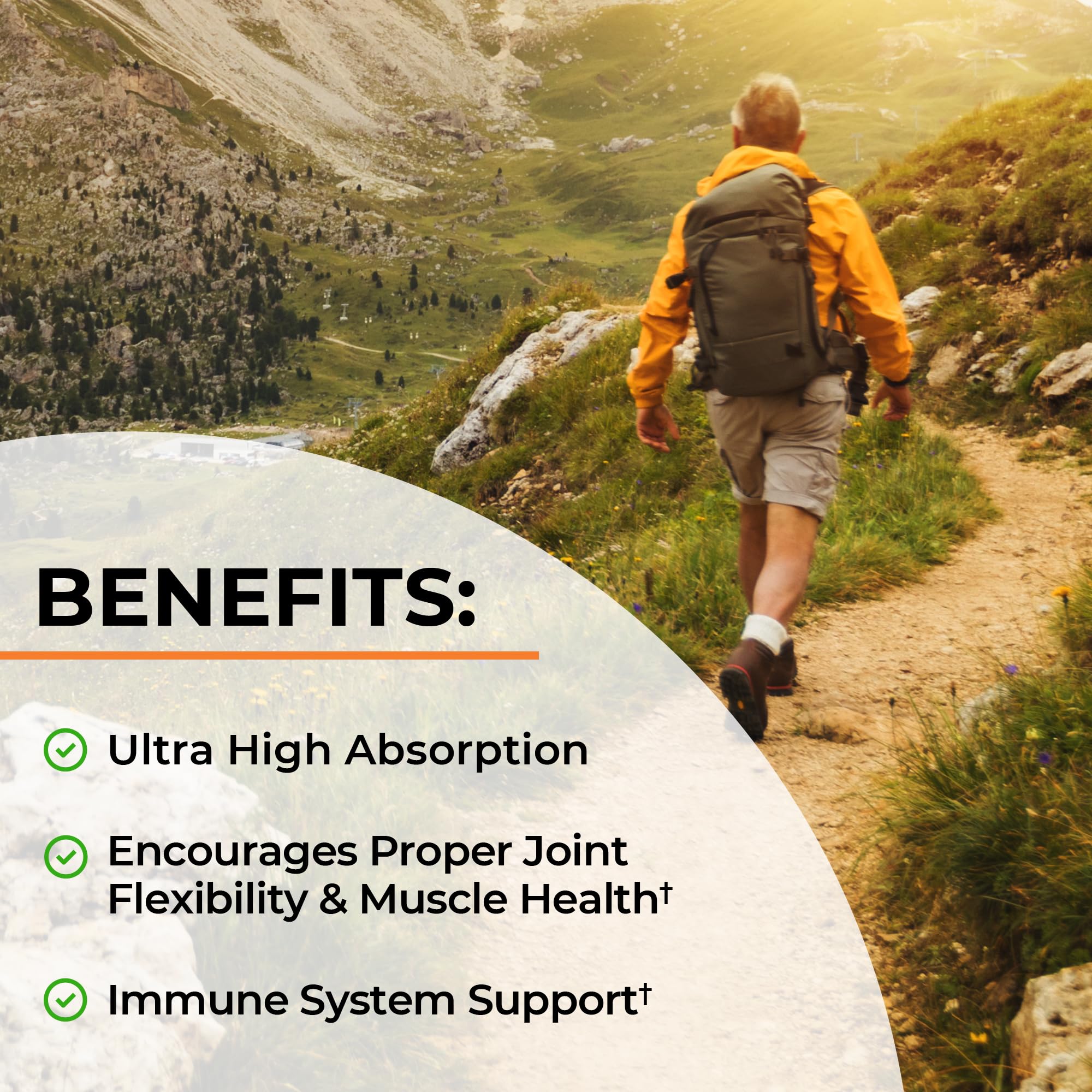 Turmeric Curcumin with Black Pepper Extract 1500mg - High Absorption Ultra Potent Turmeric Supplement with 95% Curcuminoids and BioPerine BioSchwartz buy supplements canada
