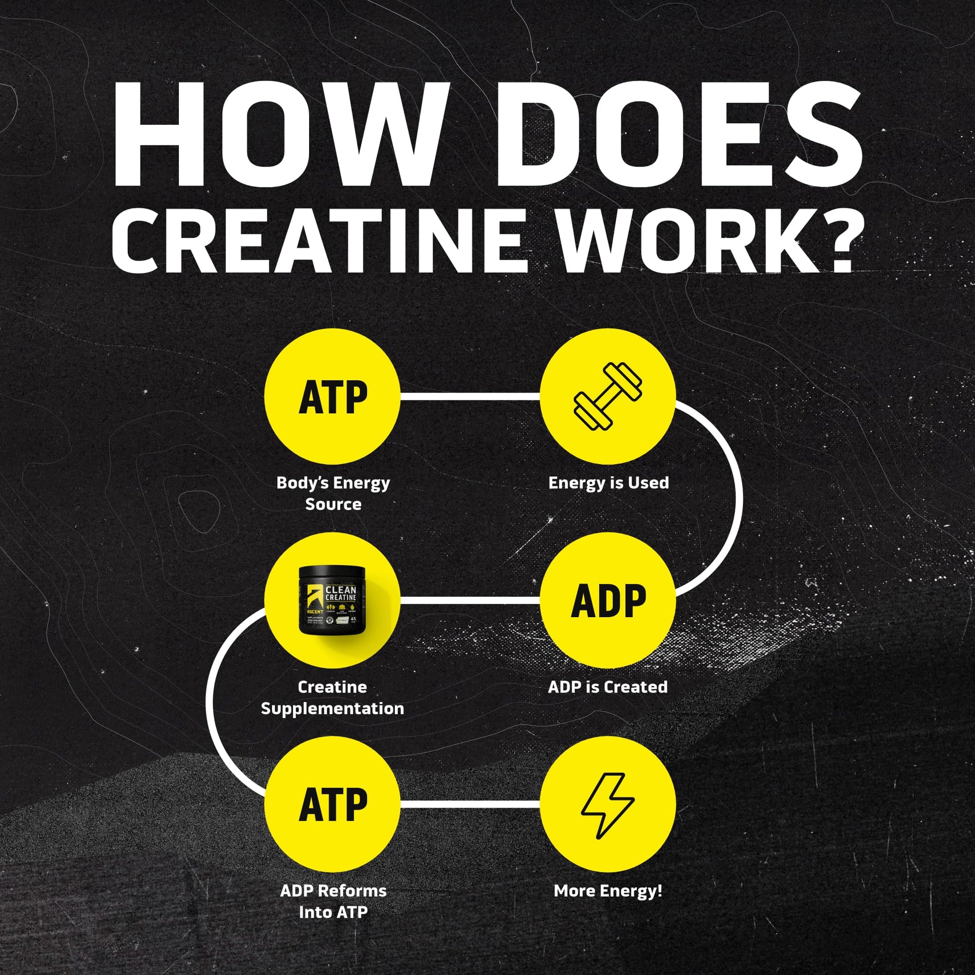 Ascent Clean Creatine Monohydrate Powder - 5G Per Serving, Creapure Supplement - Unflavored, 45 Servings Ascent buy supplements canada