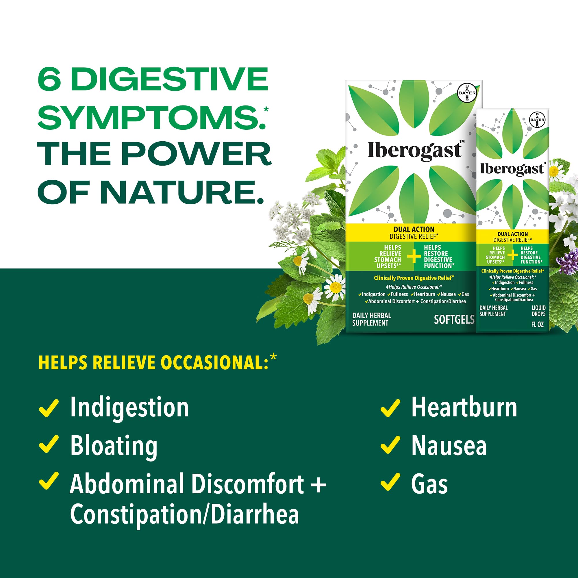 Iberogast Softgels, Herbal Relief of Stomach Upsets: Occasional Indigestion, Bloating, Gas, Nausea, Upset Stomach; 6-Herb Blend with Iberis Amara, Iberogast buy supplements canada