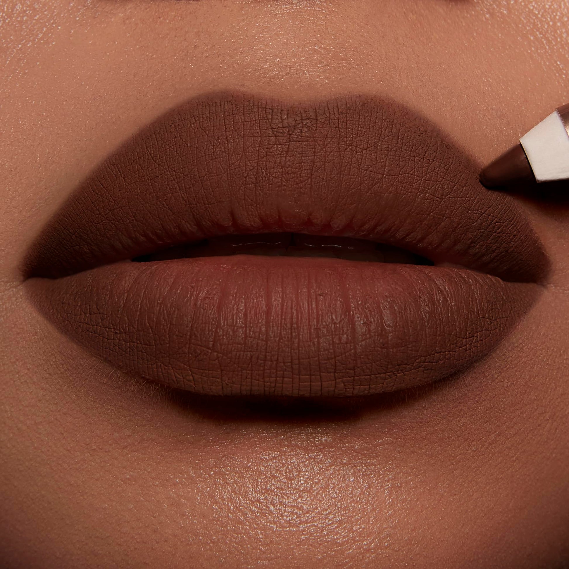 Charlotte Tilbury Lip Cheat Lip Liner Pencil - Gives Lips a Fuller-Looking, Defined Pout - Enriched with Jojoba Oil & Hyaluronic Acid - Waterproof, Smudge-Proof & Transfer-Proof - Foxy Brown Charlotte Tilbury buy supplements canada