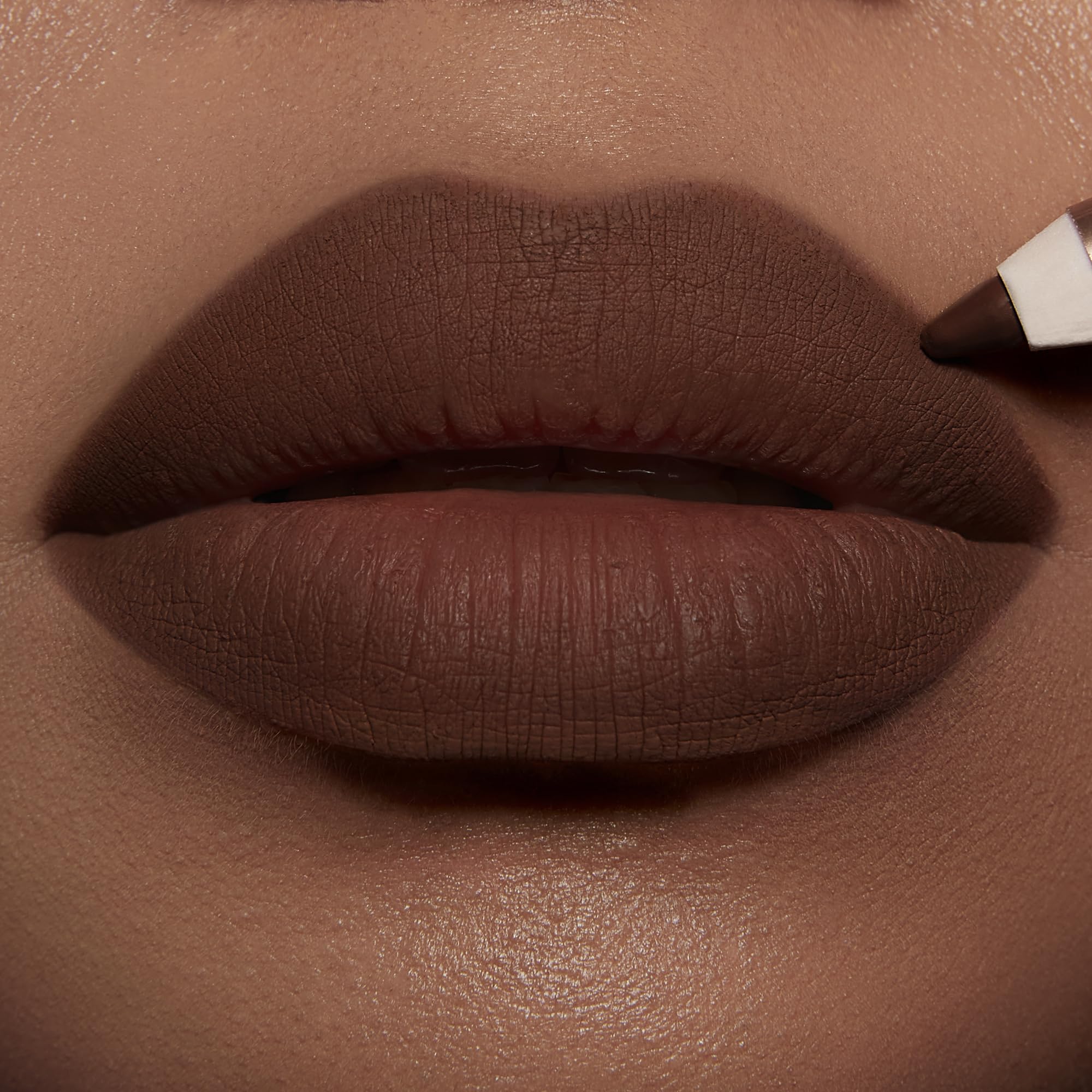 Charlotte Tilbury Lip Cheat Lip Liner Pencil - Gives Lips a Fuller-Looking, Defined Pout - Enriched with Jojoba Oil & Hyaluronic Acid - Waterproof, Smudge-Proof & Transfer-Proof - Foxy Brown Charlotte Tilbury buy supplements canada