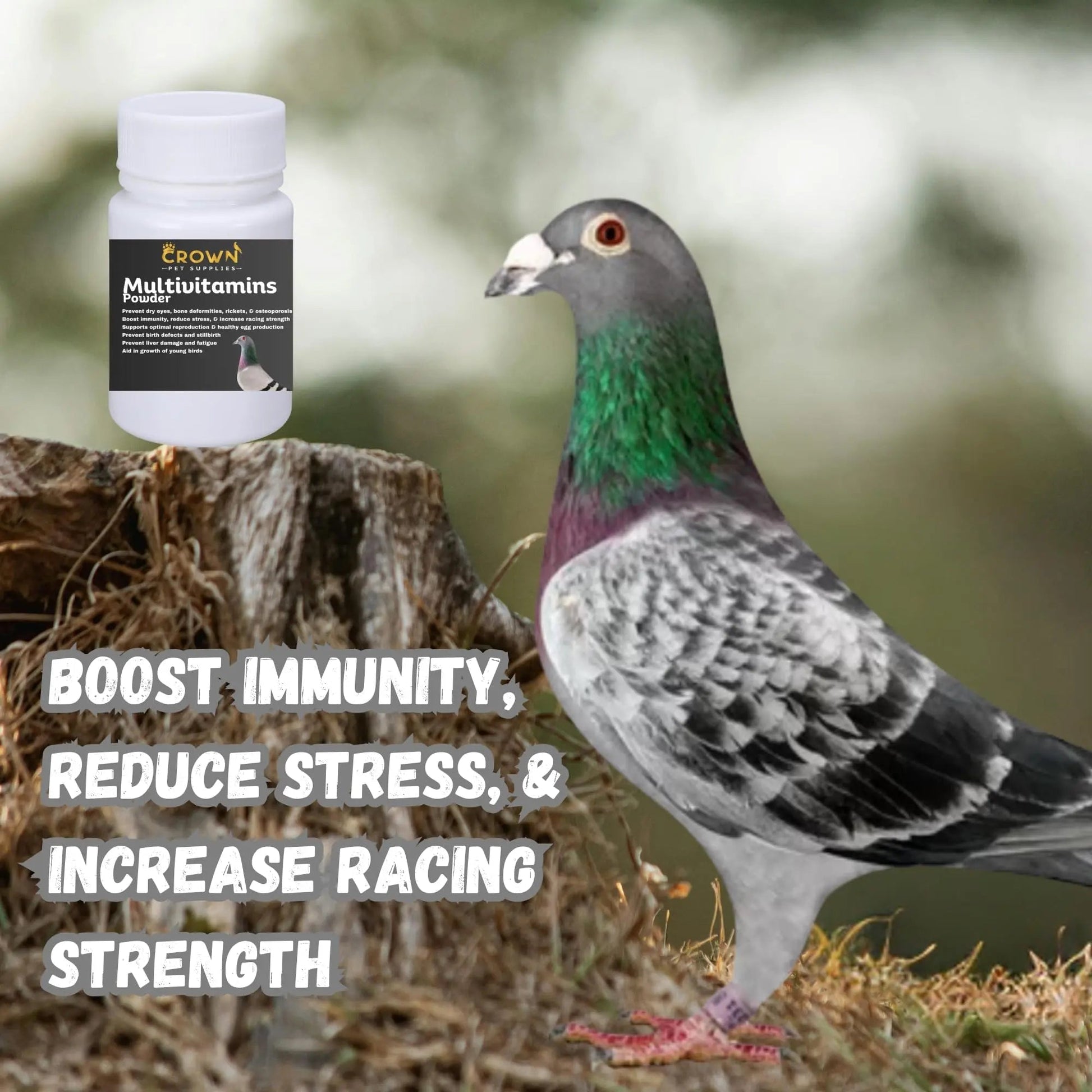 Multivitamin Powder for Pigeons – Ultimate Vitamin Formula for Racing & Breeding – Supports Growth, Bone Strength, Reproductive Health & Feather Health Crown Pet Supplies buy supplements canada