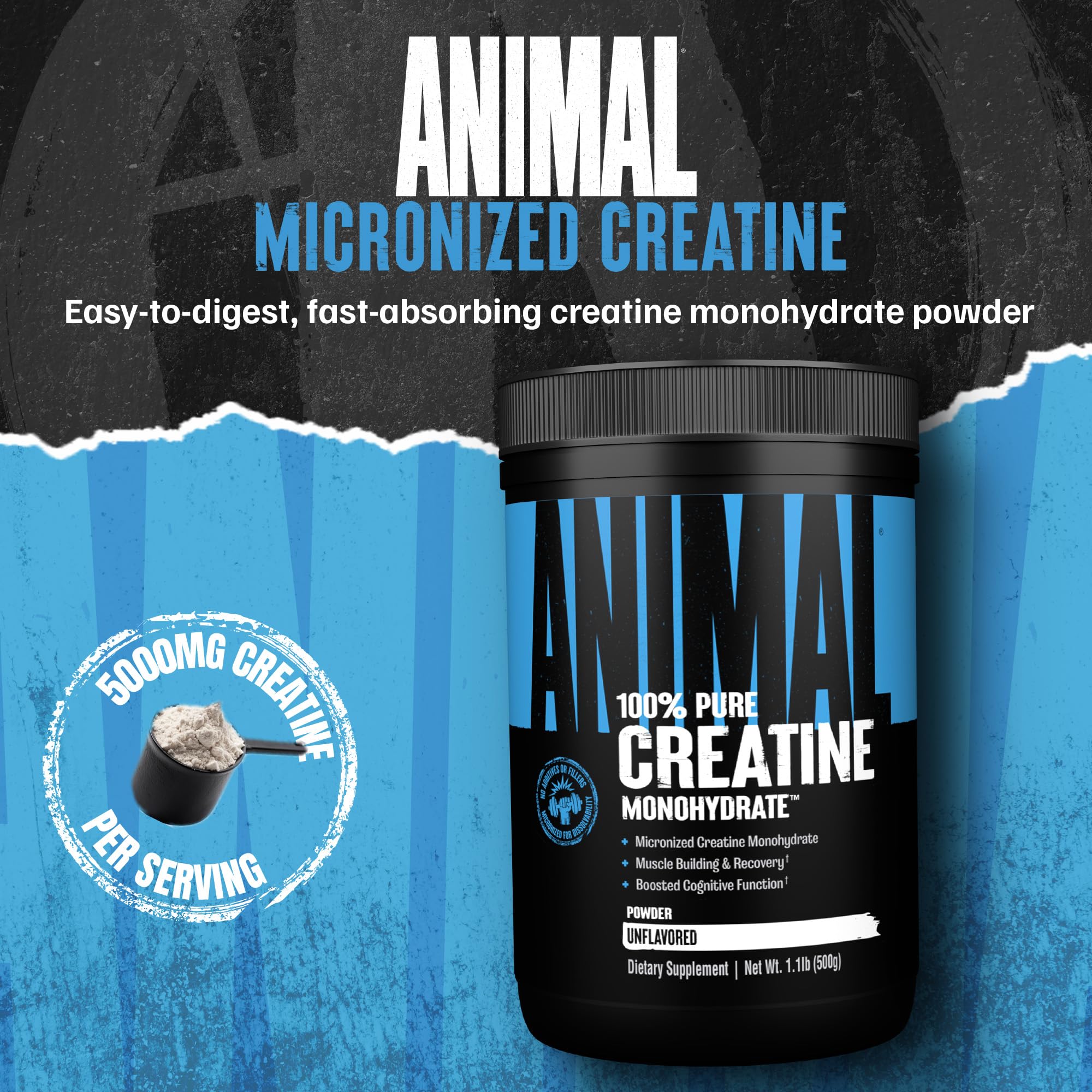 Animal Creatine Monohydrate Powder - Micronized Creatine for Women and Men, Supports Muscle Growth, Strength, Endurance, Recovery and ATP Production, Animal buy supplements canada