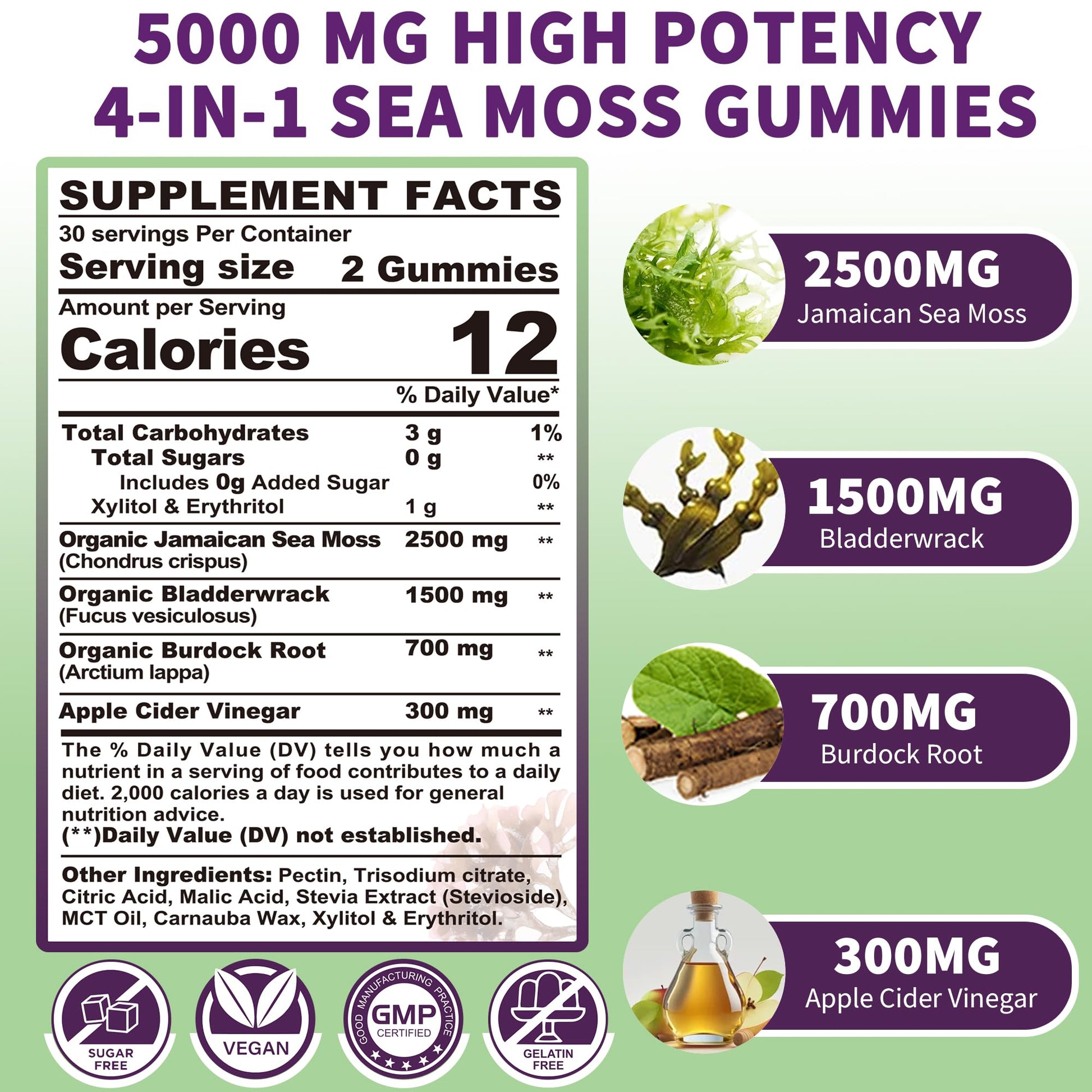 Sea Moss Supplement 5000mg, Sugar Free Sea Moss Gummies, Irish Sea Moss EnvyDeal buy supplements canada