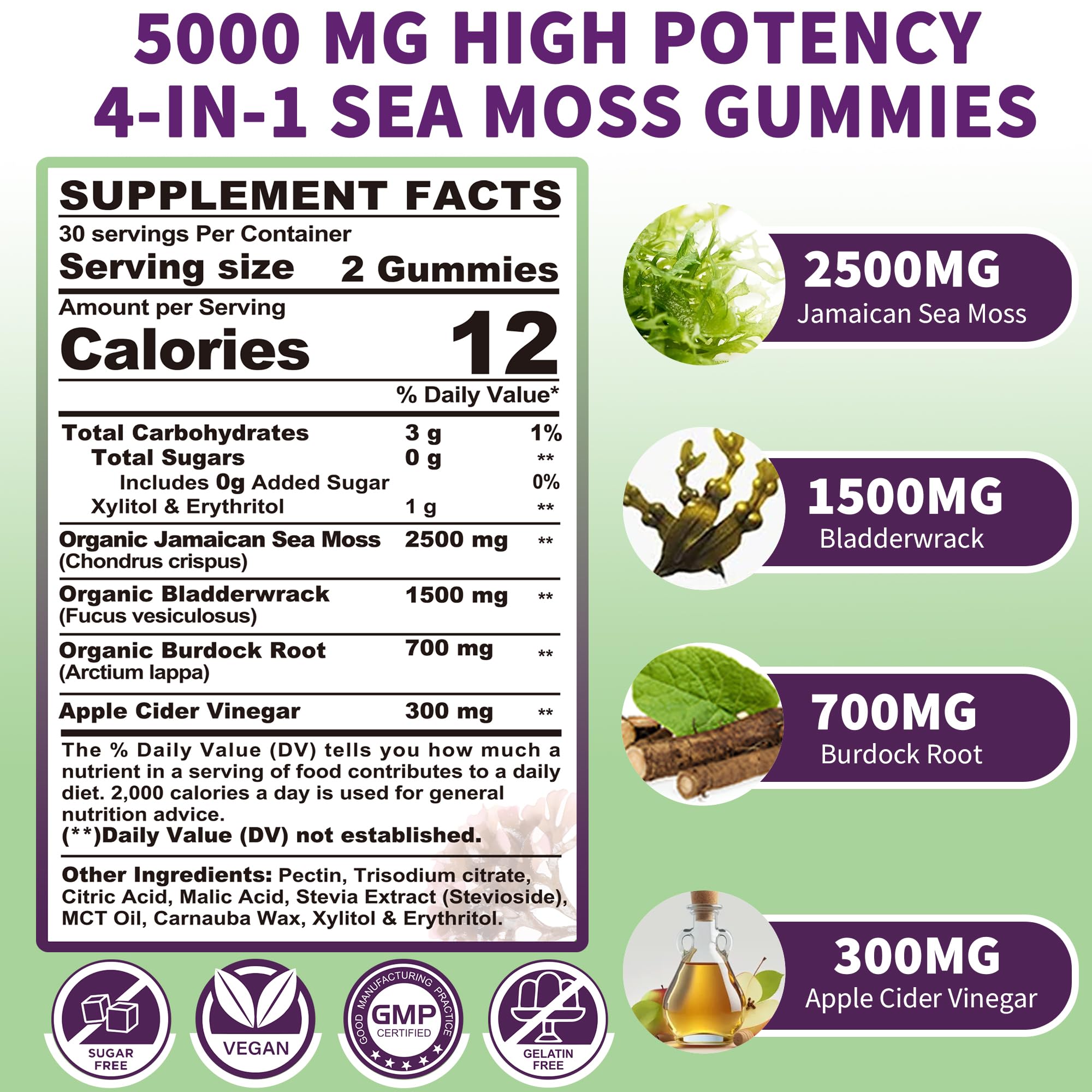 Sea Moss Supplement 5000mg, Sugar Free Sea Moss Gummies, Irish Sea Moss EnvyDeal buy supplements canada