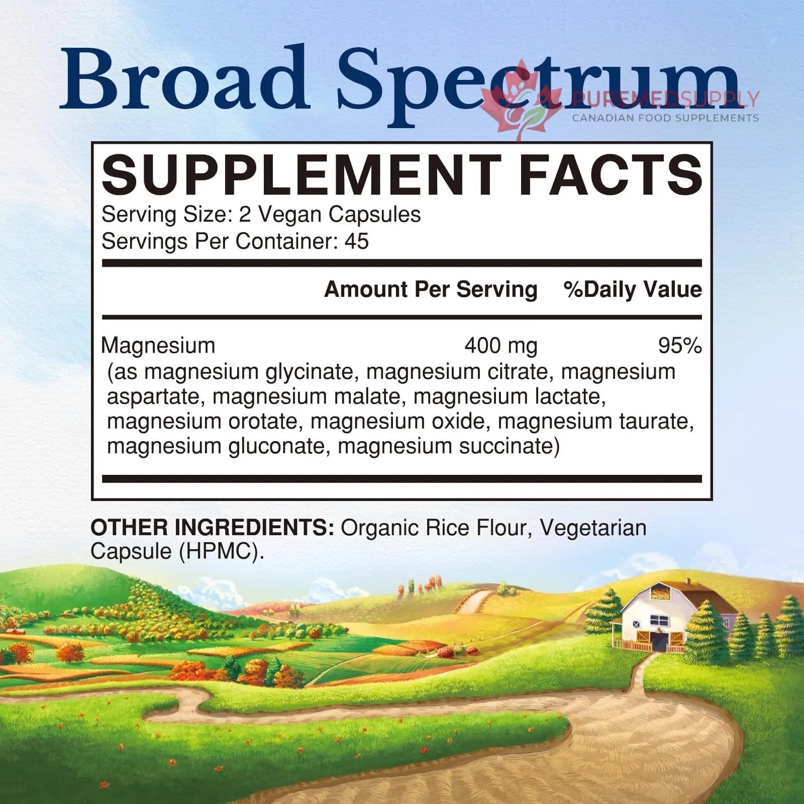 Vitalitown 10 in 1 Magnesium Complex Supplement - 400mg Elemental Magnesium Chelated with Glycinate, Citrate, Malate, Taurate & More - for Sleep Heart Energy - Non-GMO, Vegan, 90 Caps Vitalitown buy supplements canada