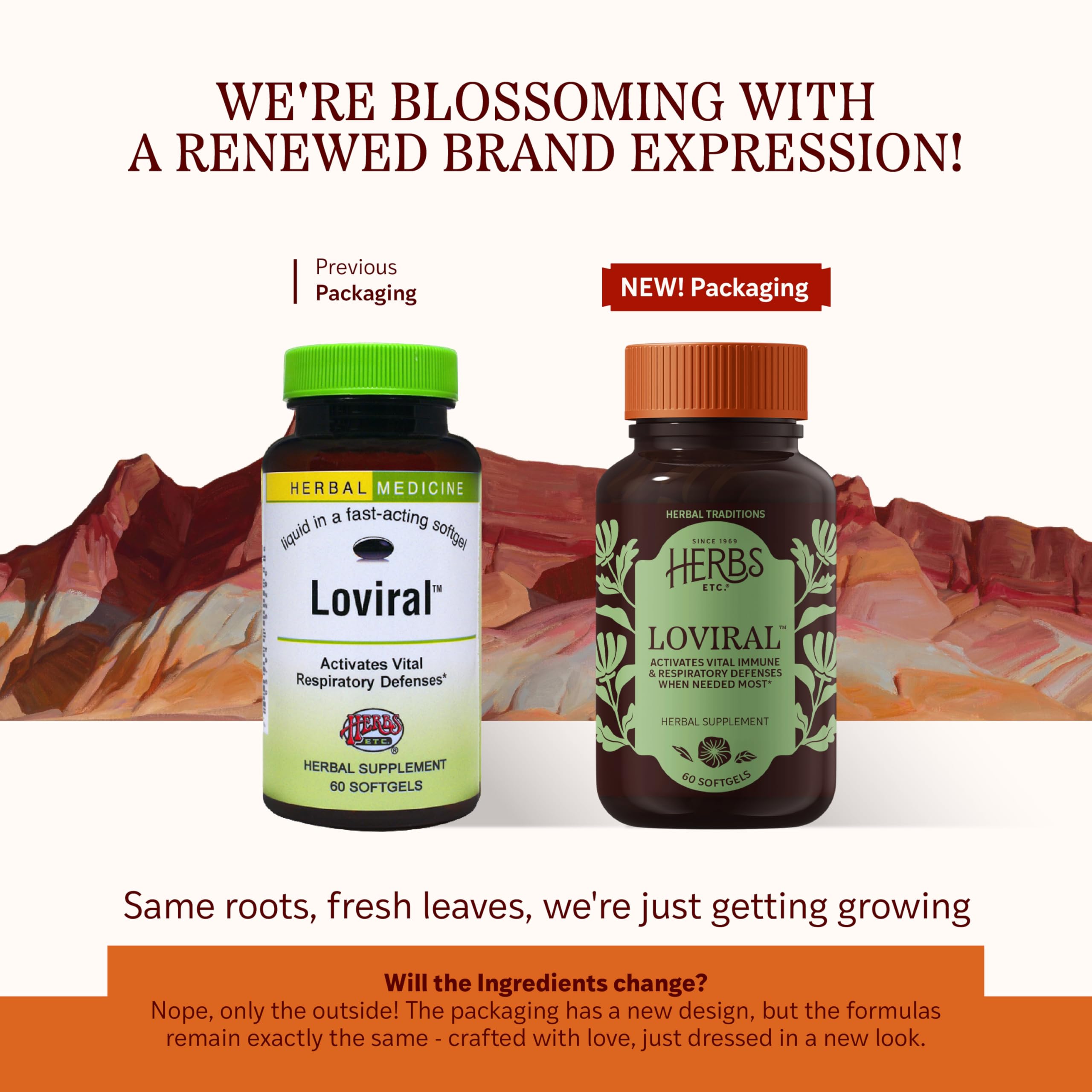 Herbs Etc. Loviral - Lung Health Supplement for Respiratory Defense & Support - Herbal Supplement with Lomatium, Pelargonium & OSHA - Gluten-Free - 60 Softgels (60 Servings) Herbs Etc. buy supplements canada