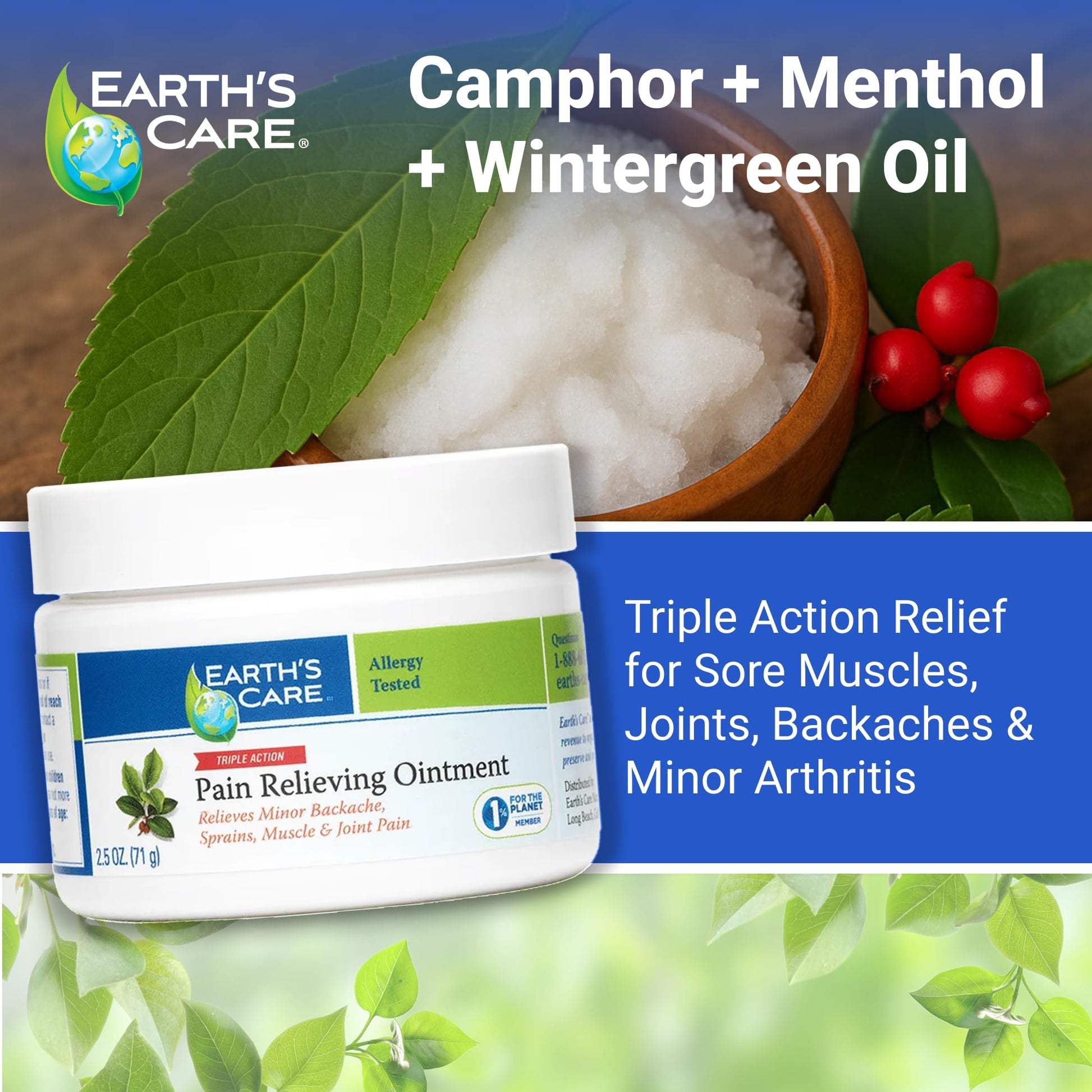 Earth's Care Triple Action Pain Relieving Ointment, No Parabens, Colors or Fragrances, Allergy-Tested 2.5 OZ. (2 Jars) Earth's Care buy supplements canada