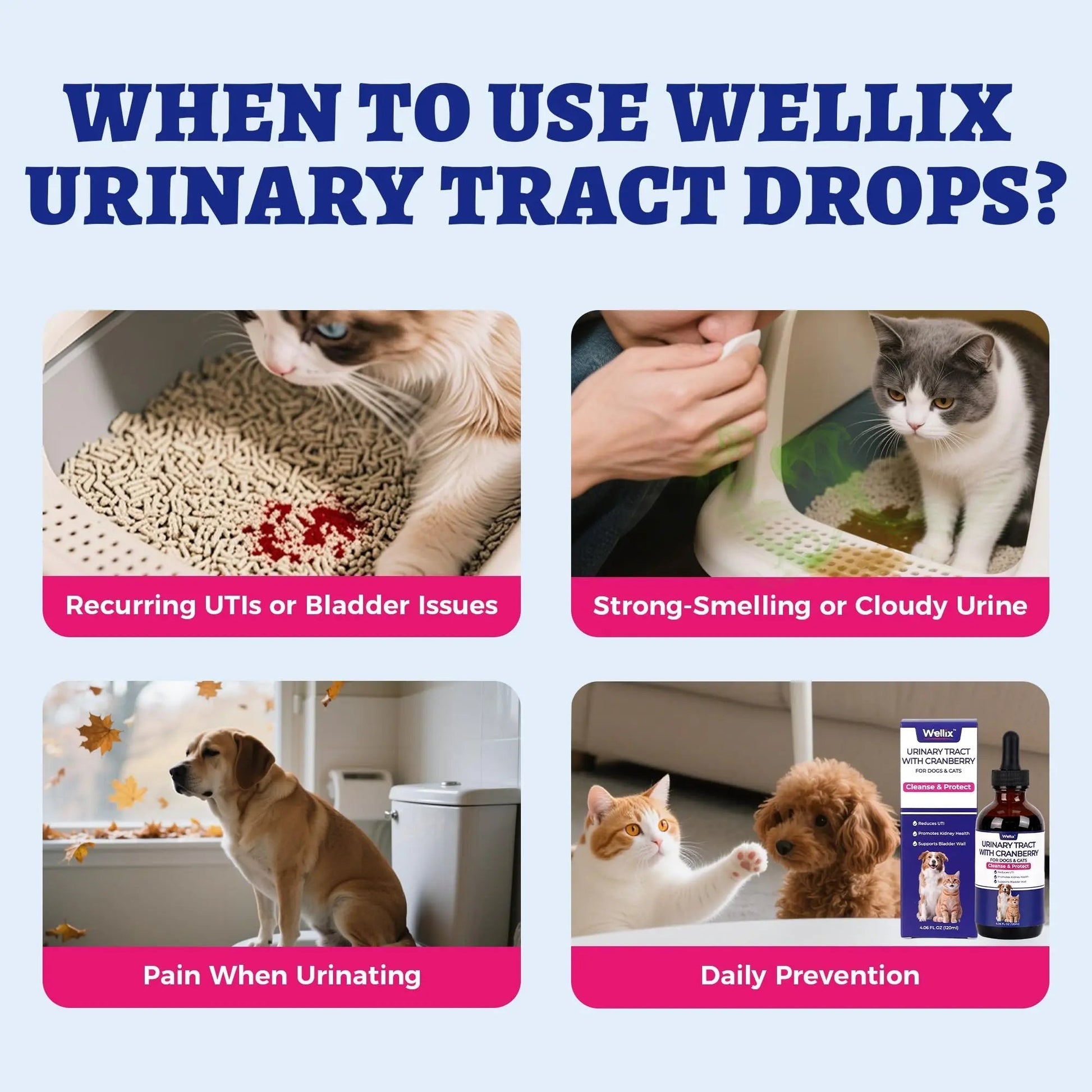 4oz Wellix Natural Cat & Dog UTI Treatment Drops,Cat & Dog Urinary Tract Infection Treatment - Cranberry & D-Mannose for Dogs & Cats - Kidney Health Supplement Wellix buy supplements canada