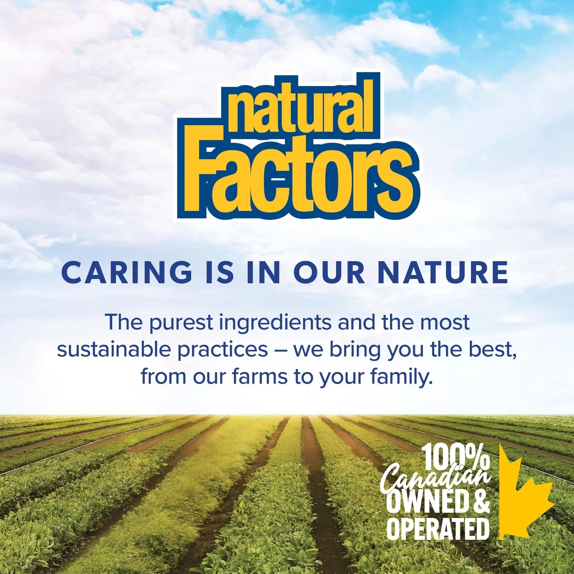 Natural Factors B12 Methylcobalamin, 10,000 mcg, Cherry, 30 Chewable Tablets Natural Factors buy supplements canada