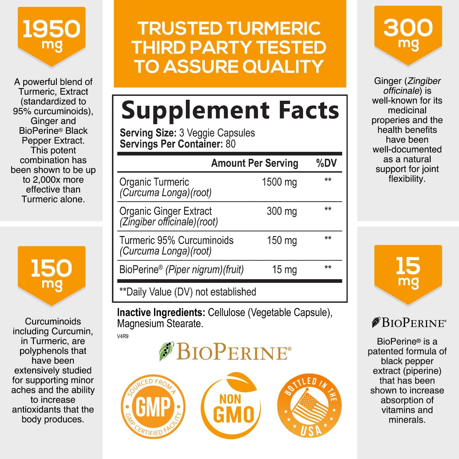 Turmeric Curcumin with BioPerine & Ginger 95% Standardized Curcuminoids 1950mg Nature's Nutrition buy supplements canada