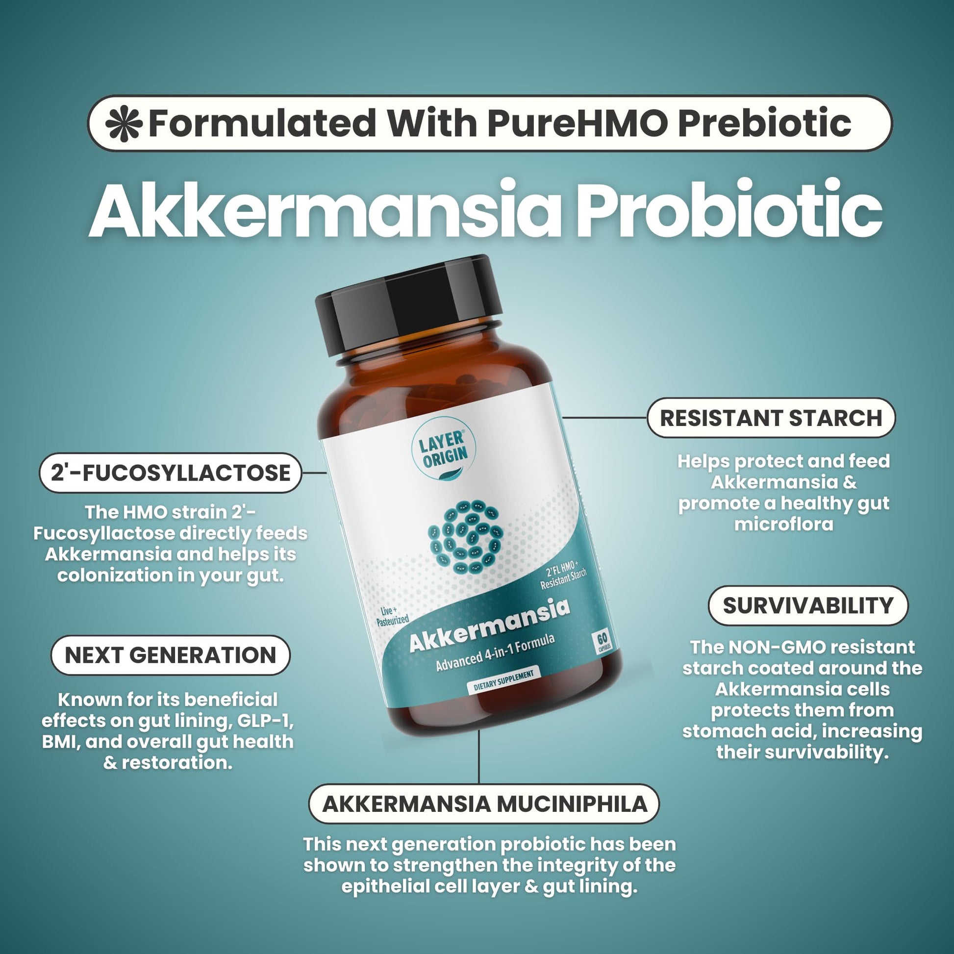 Layer Origin Akkermansia muciniphila Probiotic, with Both Live + Pasteurized Akkermansia and PureHMO Prebiotic, Validated Strain, Updated 4-in-1 Formula Layer Origin buy supplements canada