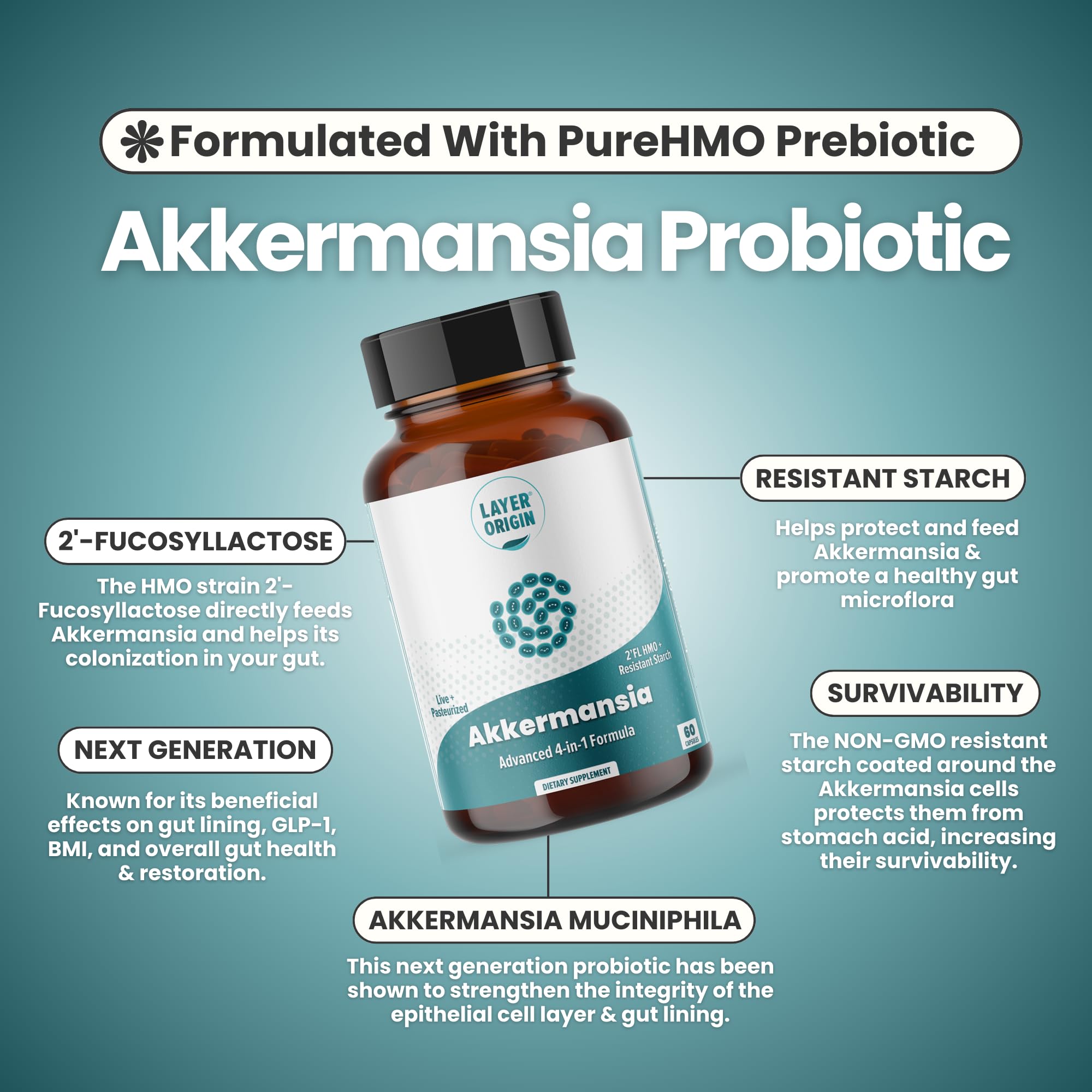 Layer Origin Akkermansia muciniphila Probiotic, with Both Live + Pasteurized Akkermansia and PureHMO Prebiotic, Validated Strain, Updated 4-in-1 Formula Layer Origin buy supplements canada