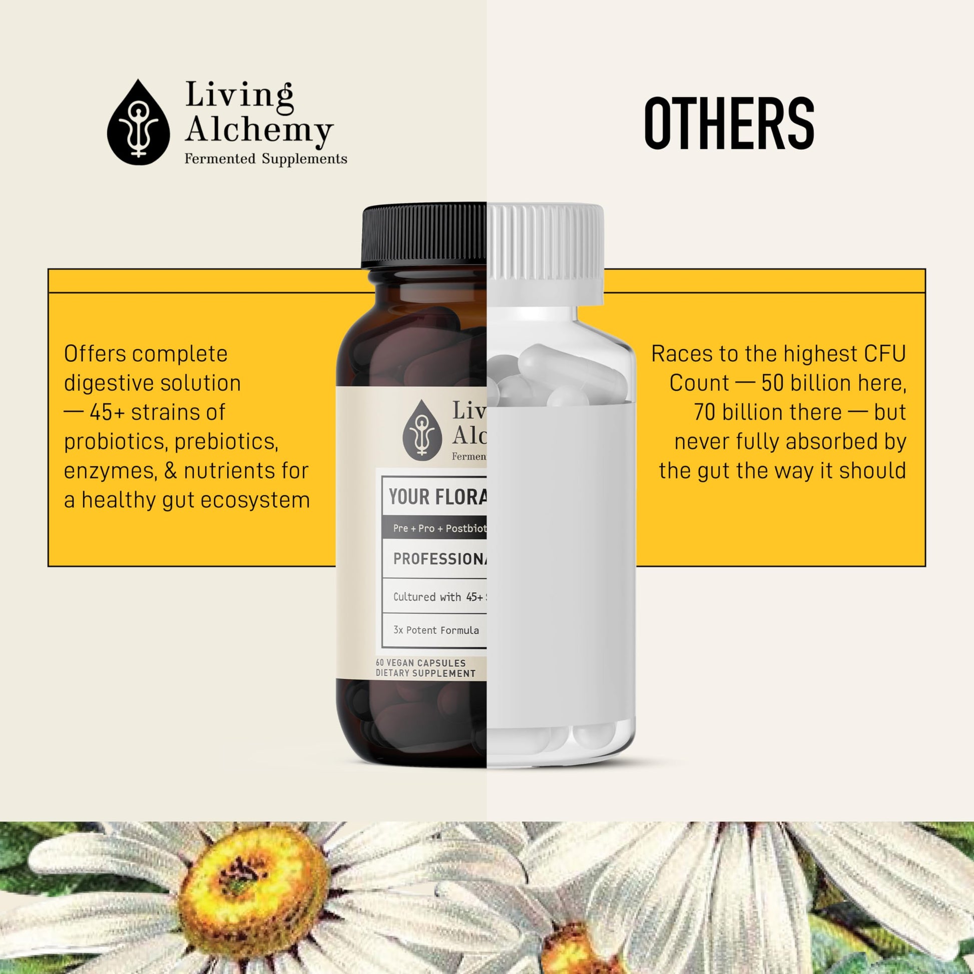 Living Alchemy Gut Health Supplements for Men & Women - Your Flora Probiotic Professional Digestion Supplement with Fermented Soybean, Prebiotics, Living Alchemy buy supplements canada
