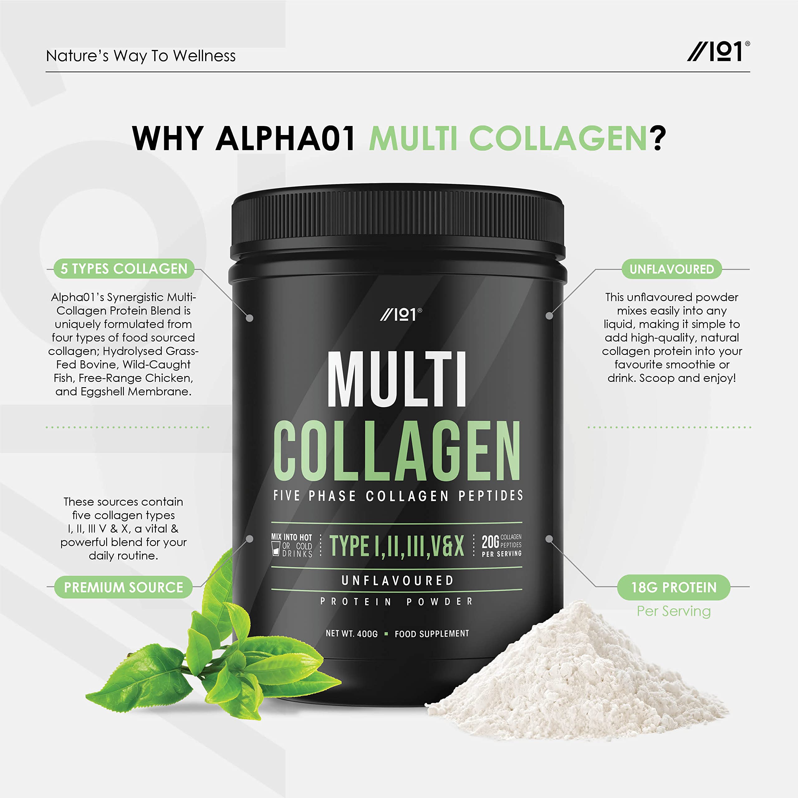 Multi Collagen Protein Powder (400g) - Types I, II, III, V & X - Hydrolyzed Grass Fed Bovine, Wild Caught Fish ALPHA01 buy supplements canada