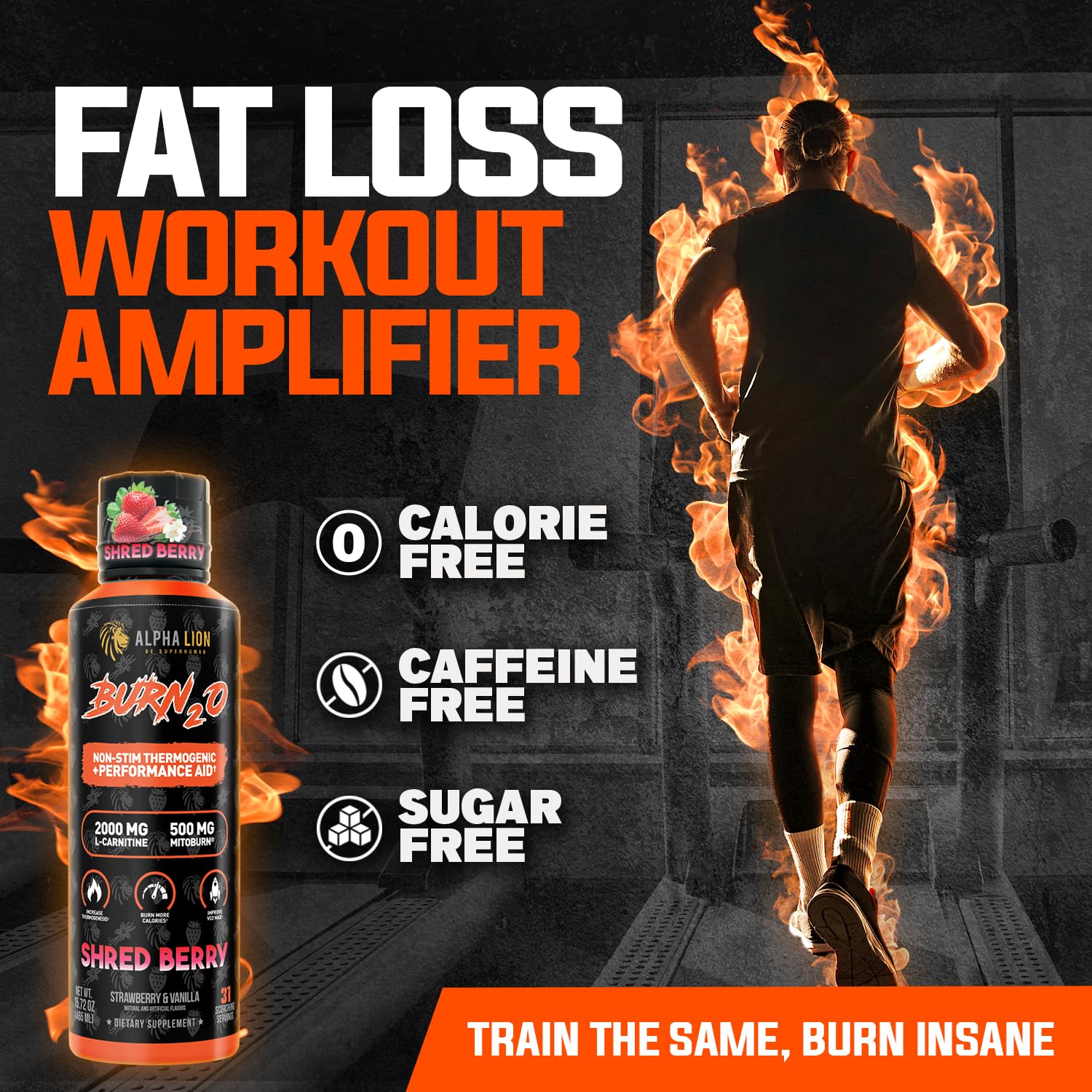 ALPHA LION Burn2O L-Carnitine Liquid 2000mg, Premium Liquid Fat Burner & Pre-Workout Supplement for Men & Women - Natural Energy & Metabolism Booster ALPHA LION buy supplements canada